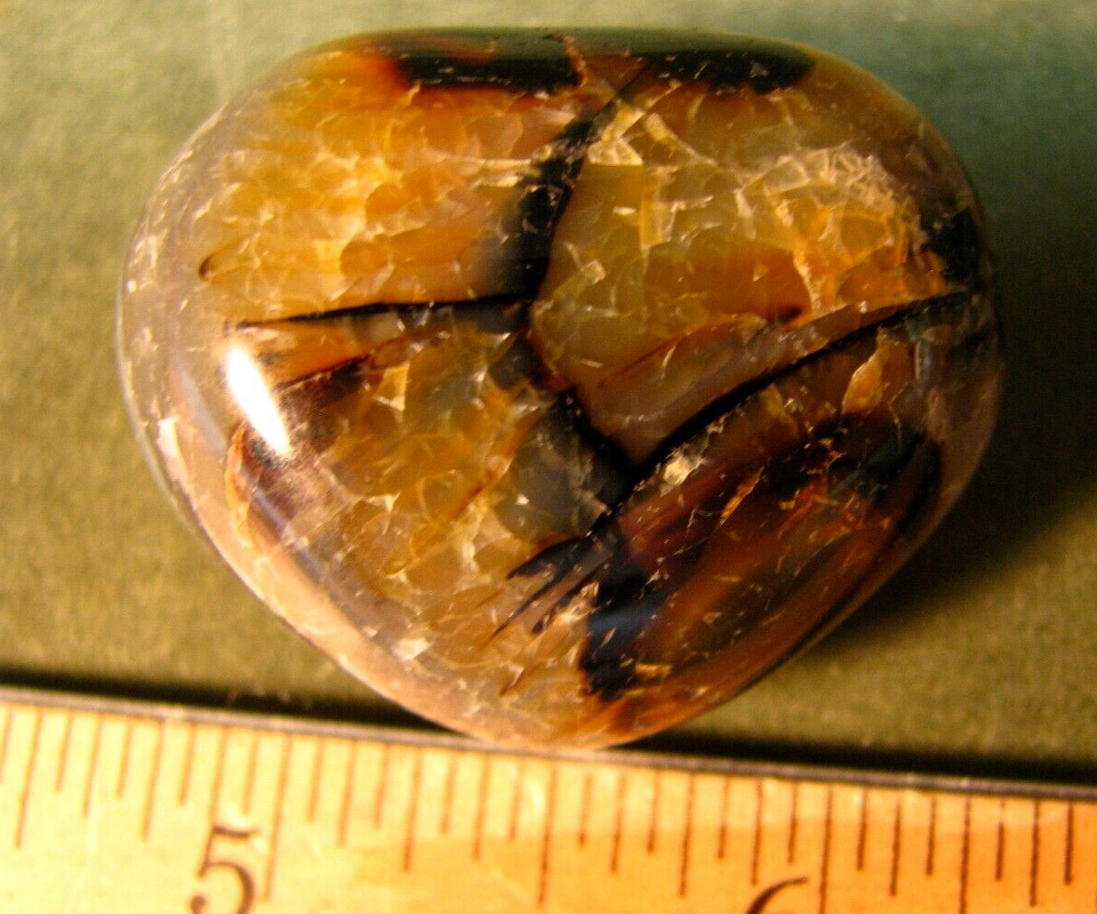 41g 40mm DENDRITIC CHALCEDONY AGATE PALM STONE MADAGASCAR MAD CRAZY LACE #014