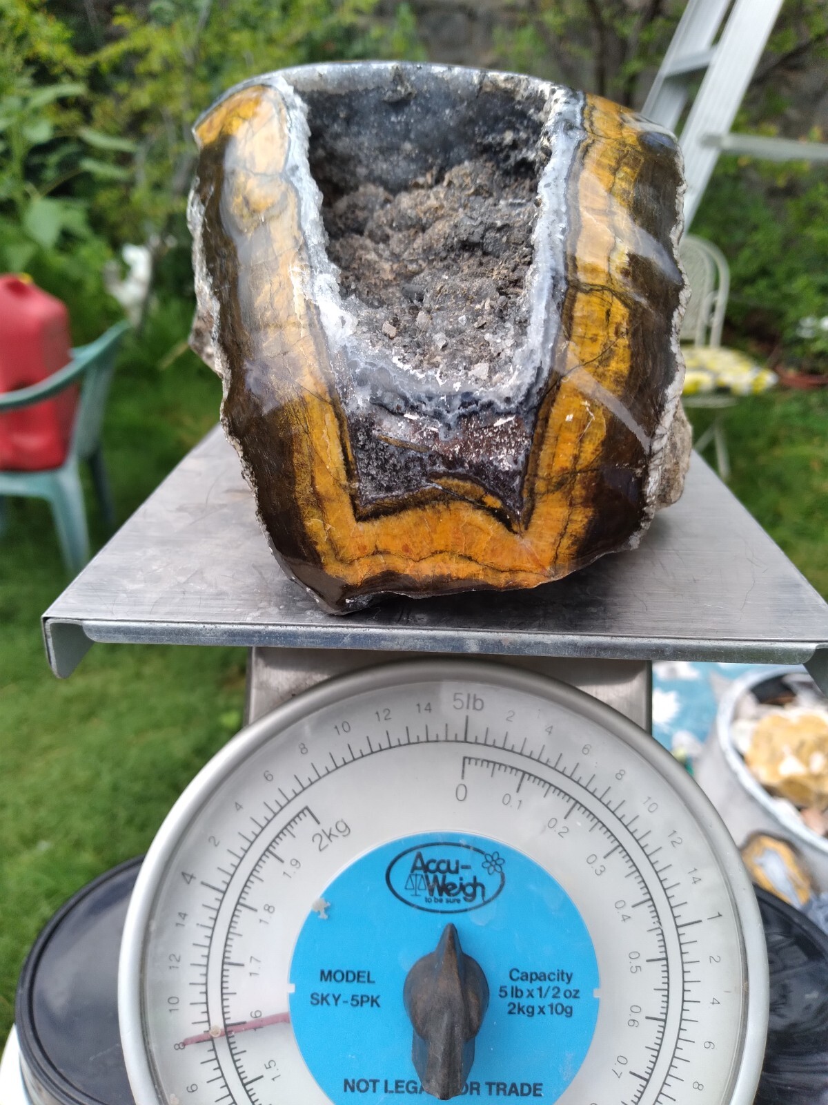 Black And Gold Specimen (New Mexico), 3 lbs & 8 ounces