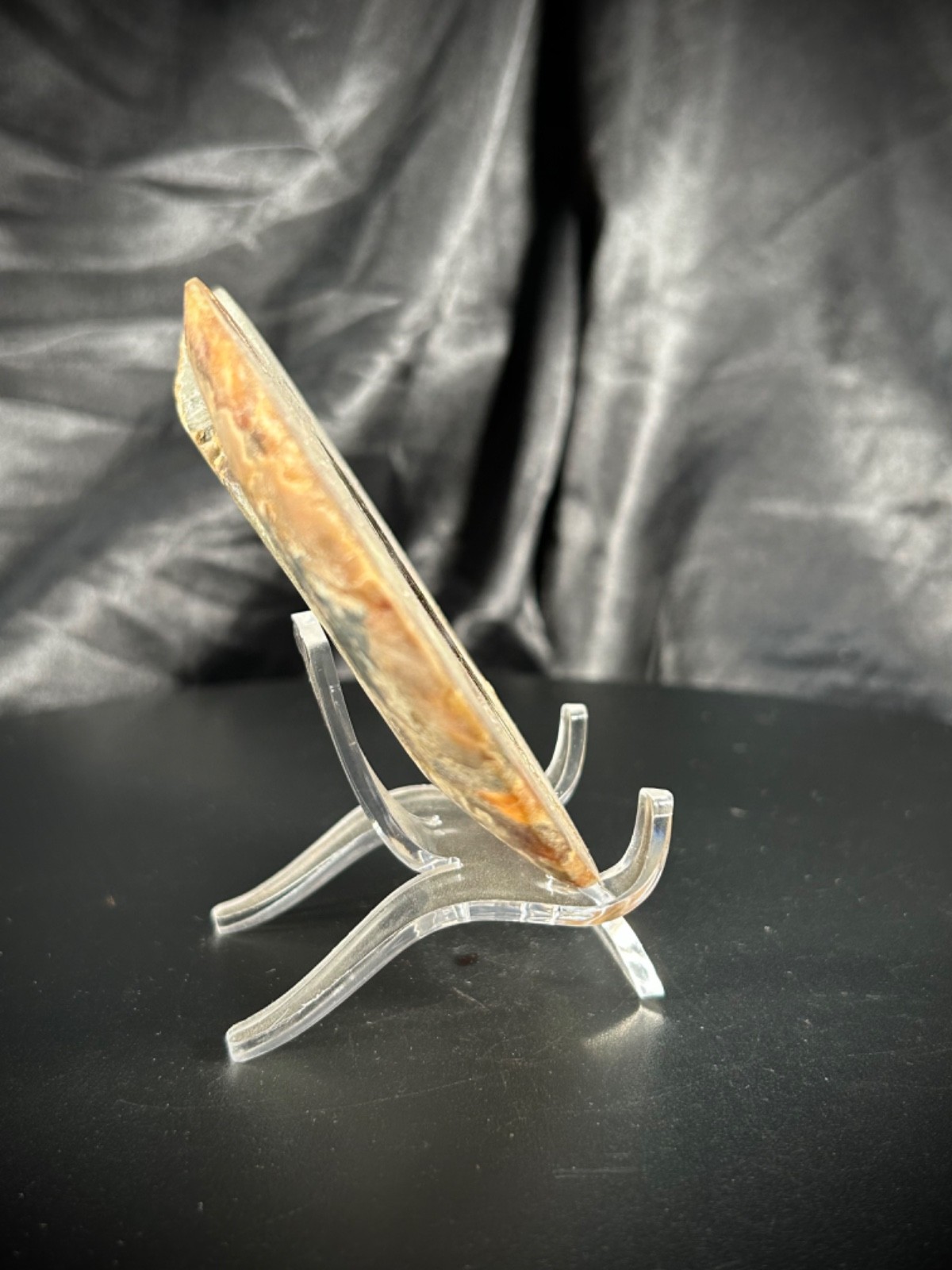 4.32″ Sliced Ammonite Half With Acrylic Stand 5.5oz (157 grams)