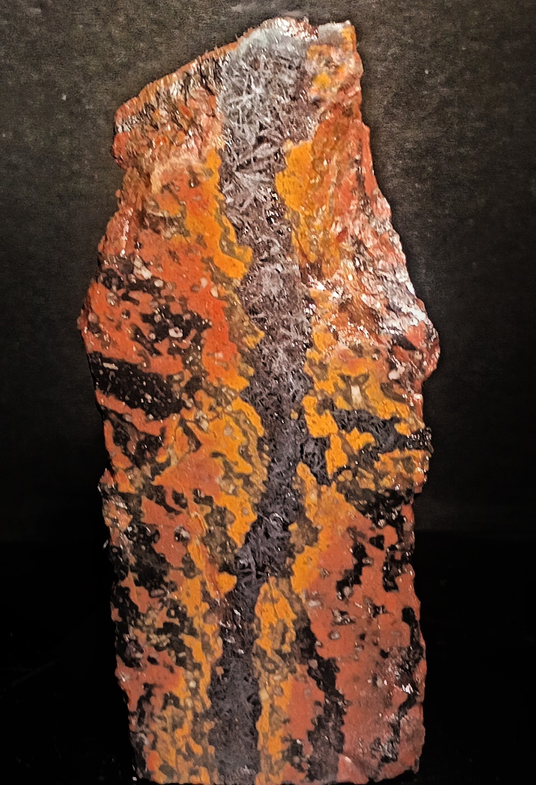 Historic Shepherds Fire Jasper Magnetite 315g Face Polished Slab Specimen MO