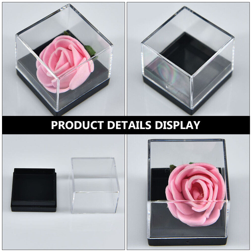 Mineral Display Specimen Box Rectangle Square Display Case Jewelry Organizer USA
