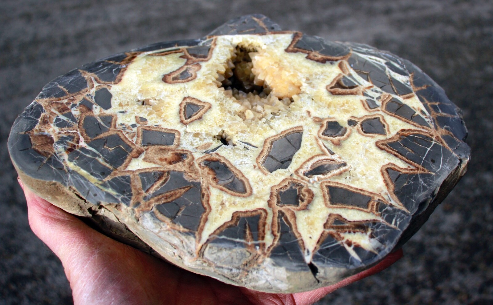 Crystal Filled, Polished Septarian Geode from Utah • 12.1 lbs.