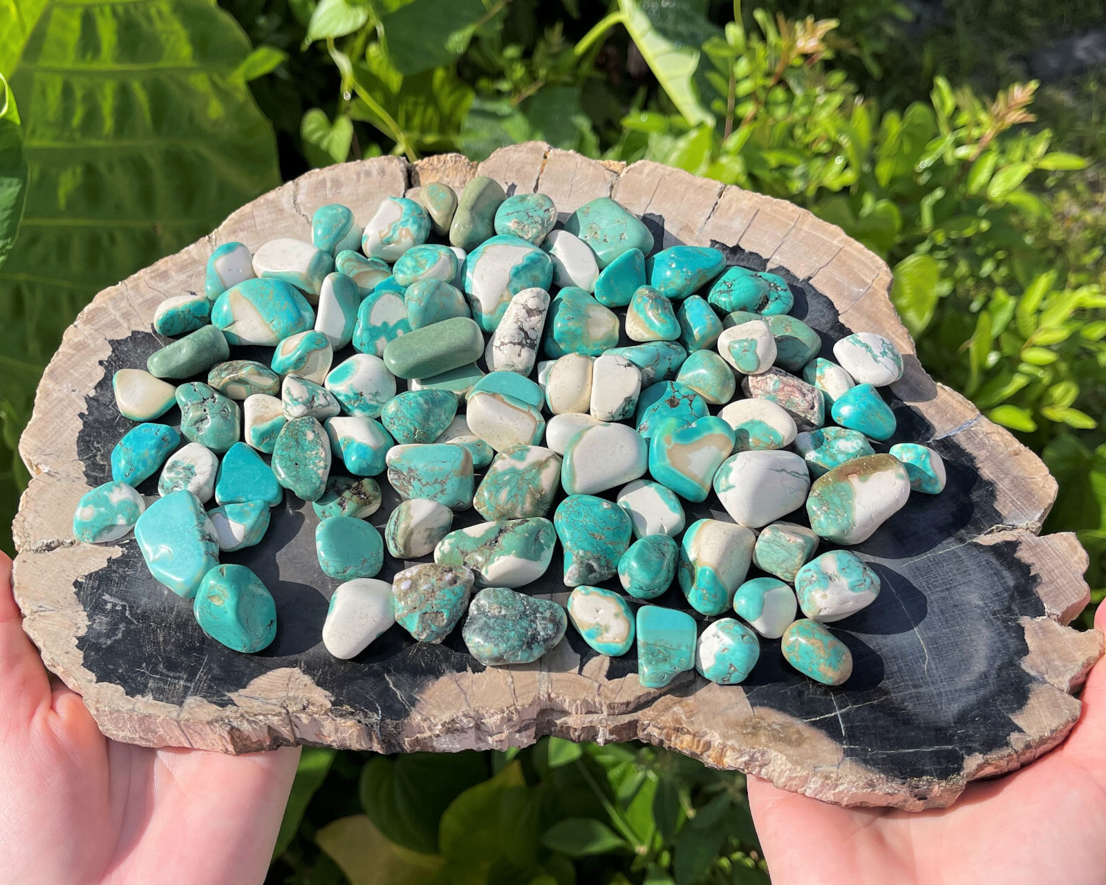 Turquoise Howlite Tumbled Stones: Choose Amount Ounces or lb Wholesale Bulk Lots