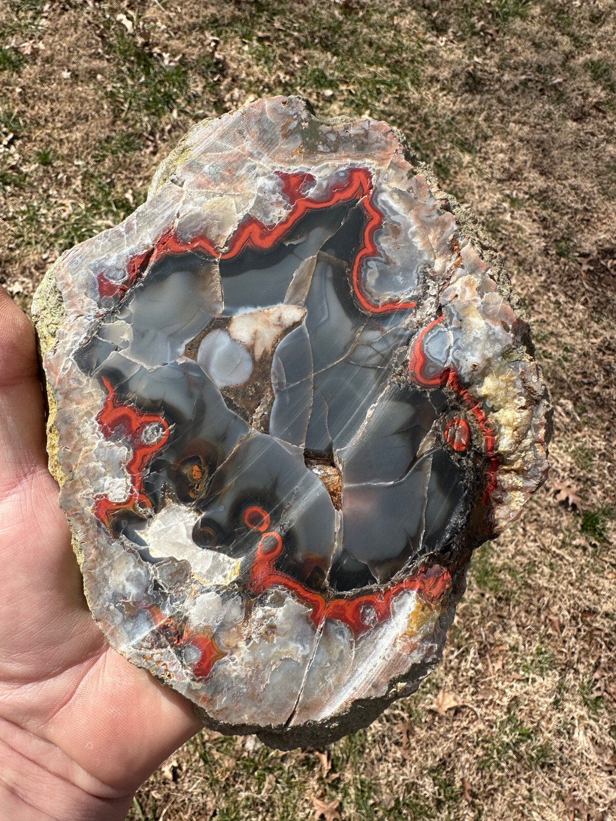 8 1/8”__Beautiful Imperial Kentucky Agate Slab from Estill County