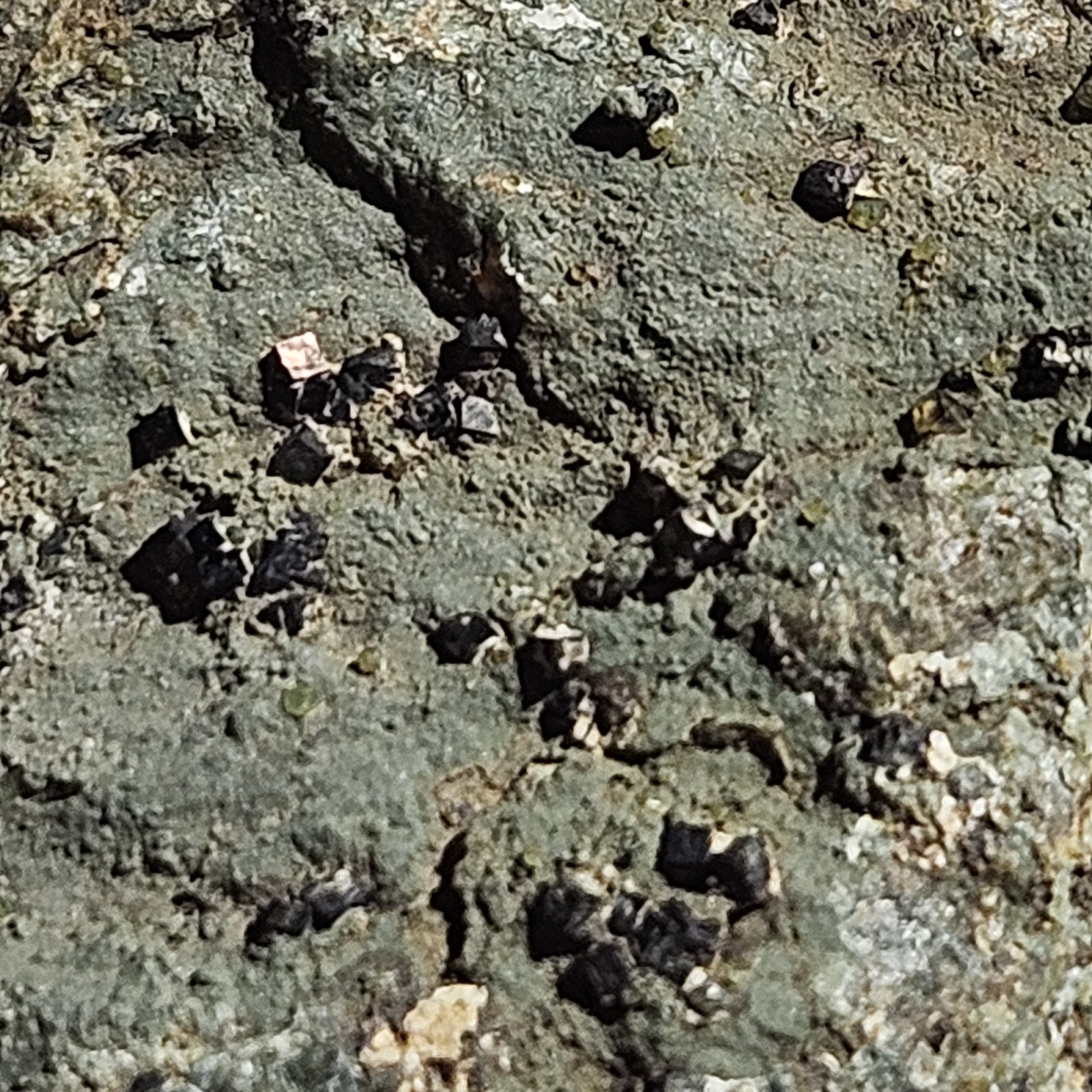 Cubic Magnetite Rare Form San Benito County California Mineral Specimen