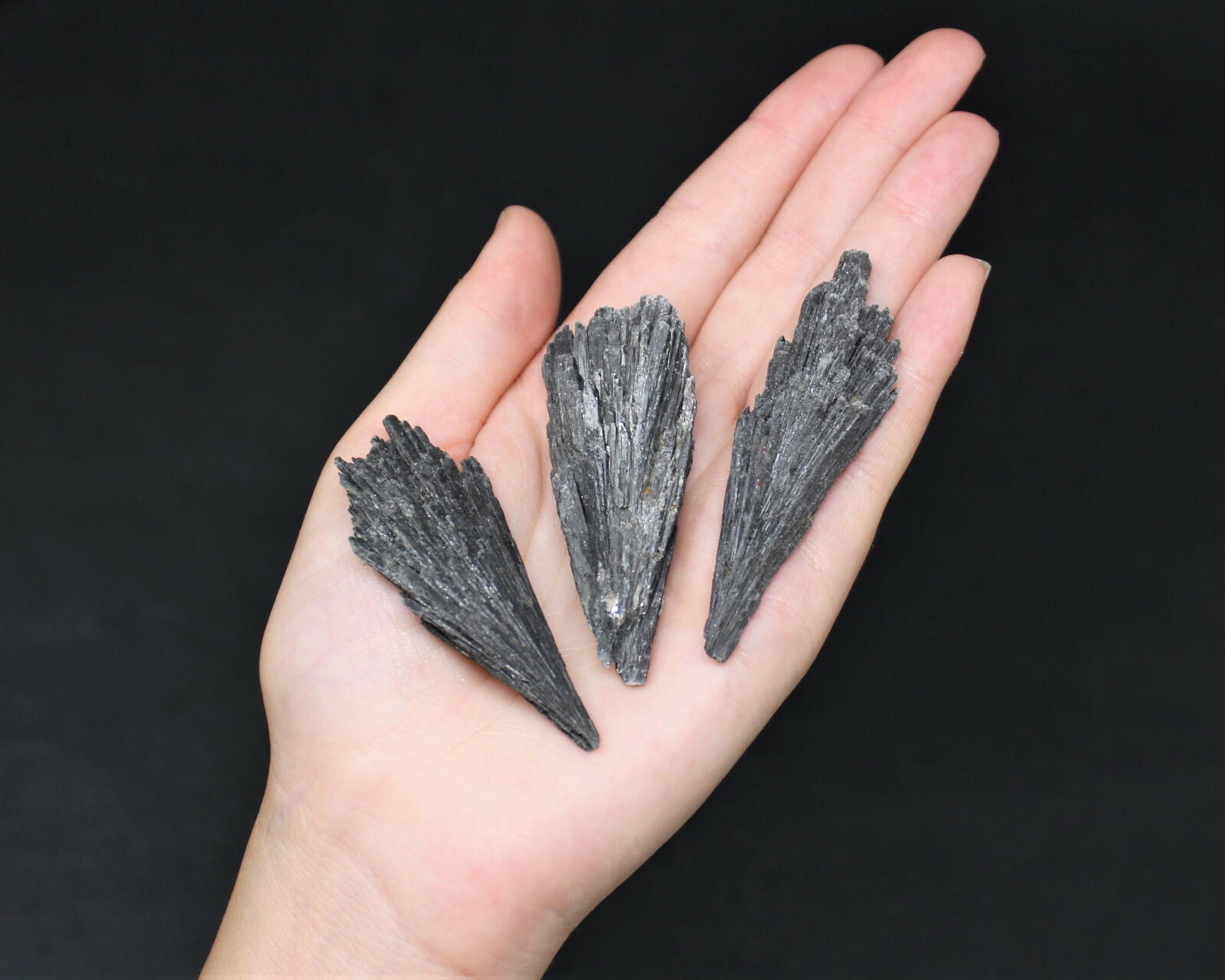 3 LARGE Black Kyanite Blades Premium Quality Chunky Natural Rough Wand 2″ – 3″