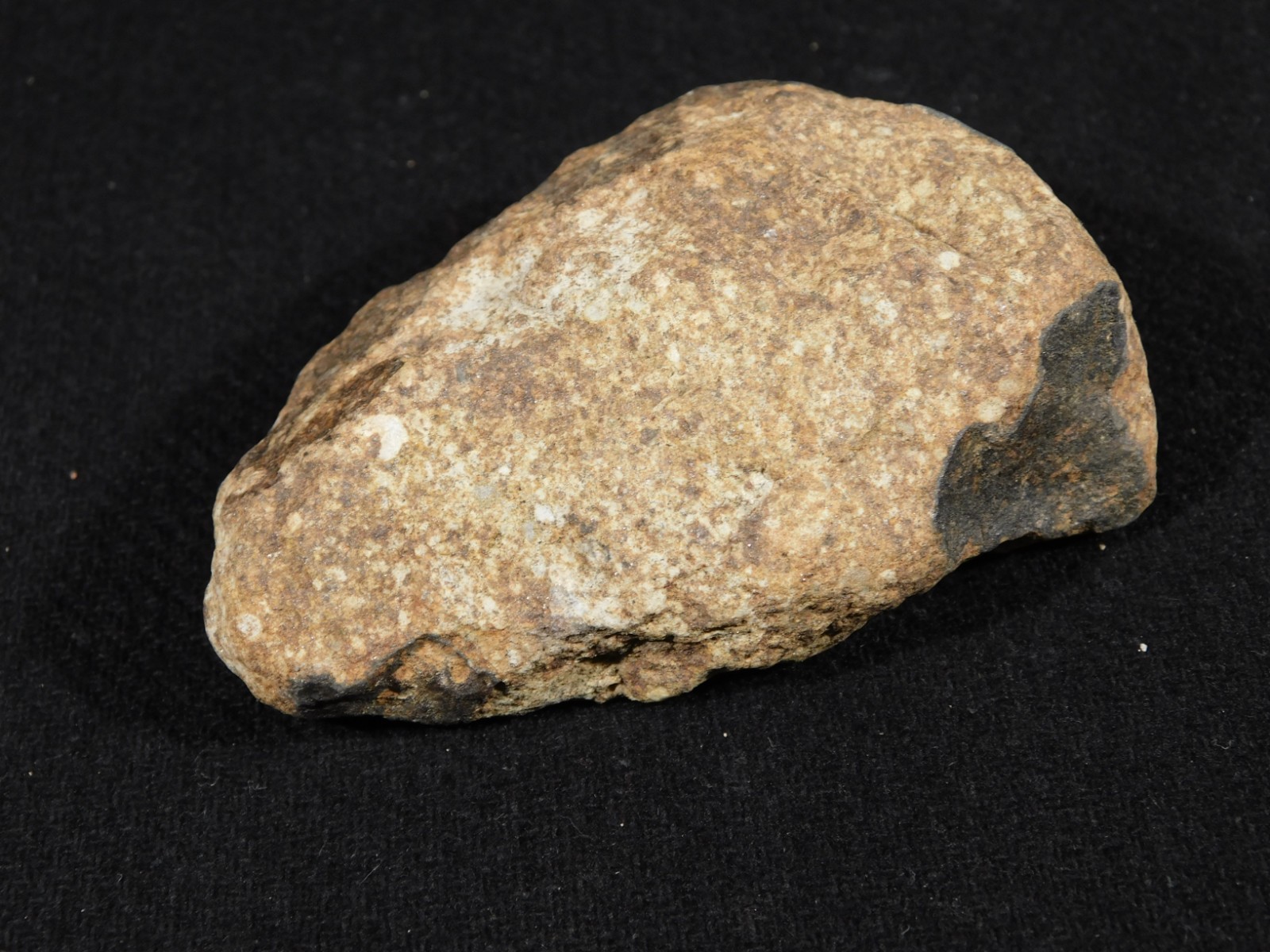 Larger Classified NWA 8245 METEORITE 100% Natural! Erfoud, Morocco 207gr