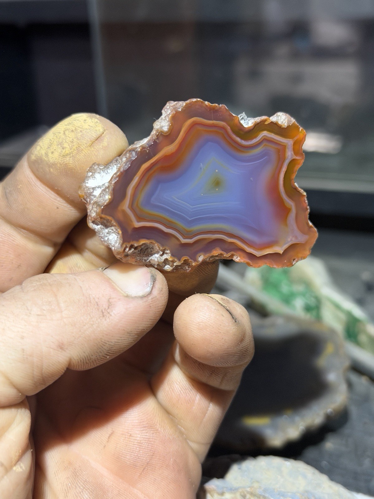 Fracture Free Malawi Agate Mirror Polished | Good Size Rare Multicolored *Africa