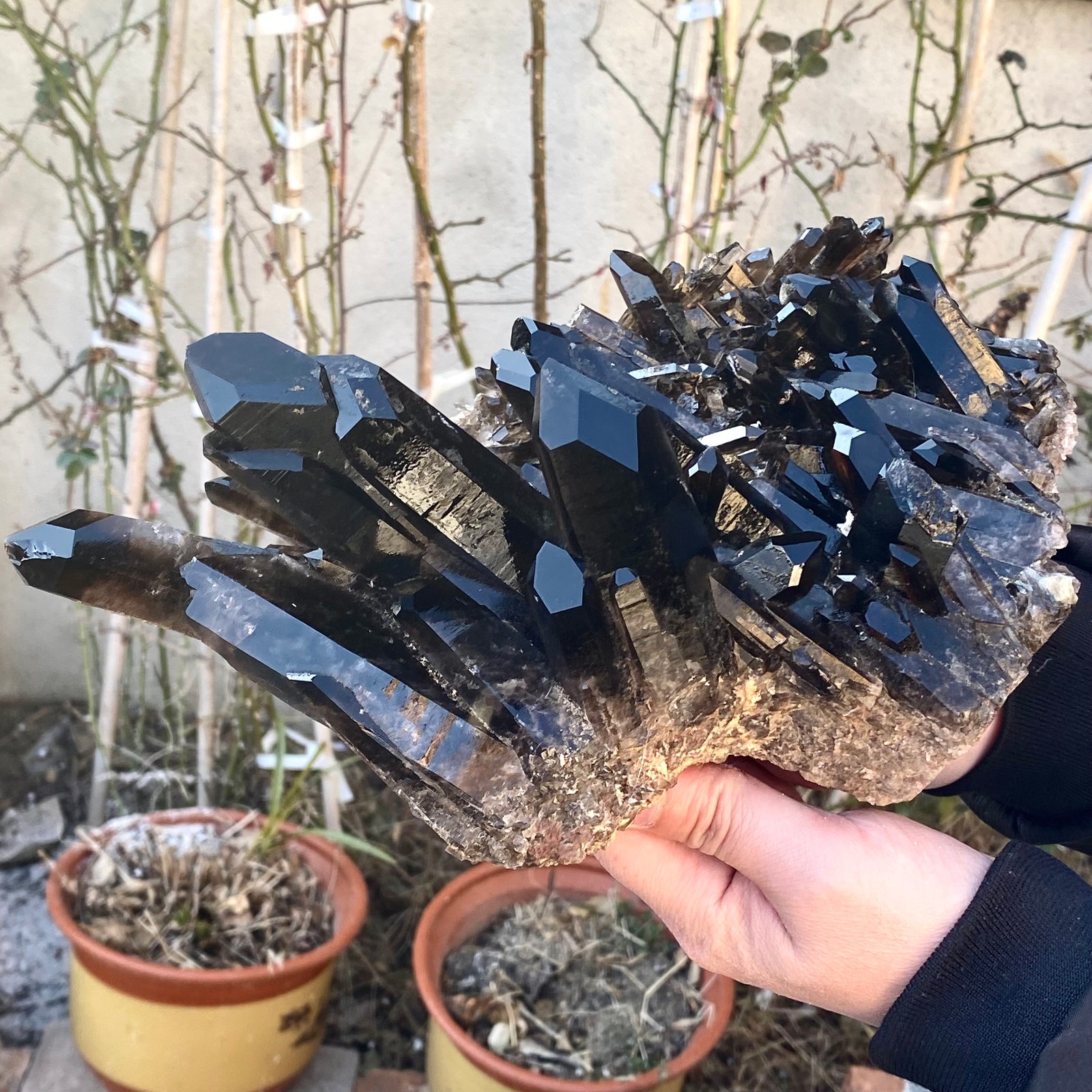 5.25LB Large Natural black Quartz Crystal Cluster Rough Specimen Healing Stone.