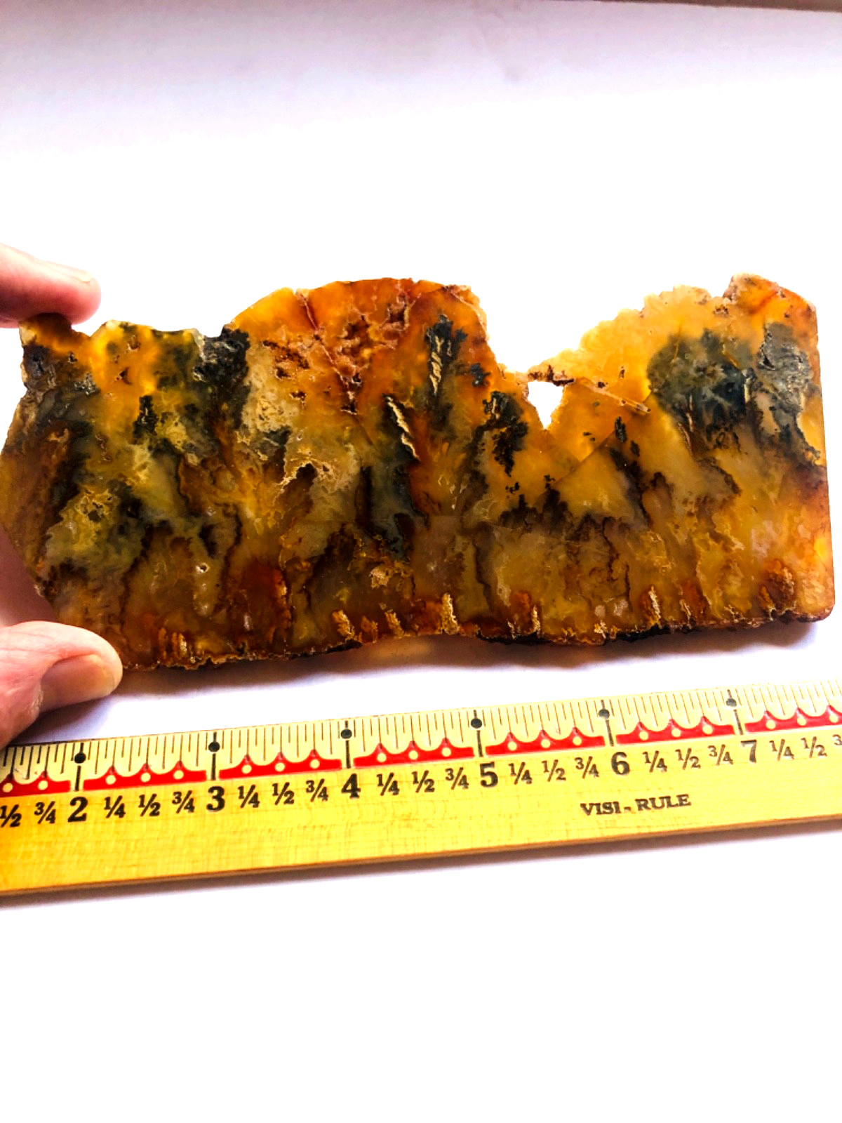 Graveyard Plume Agate Museum Grade Collectors Slab Oregon 202 Grams