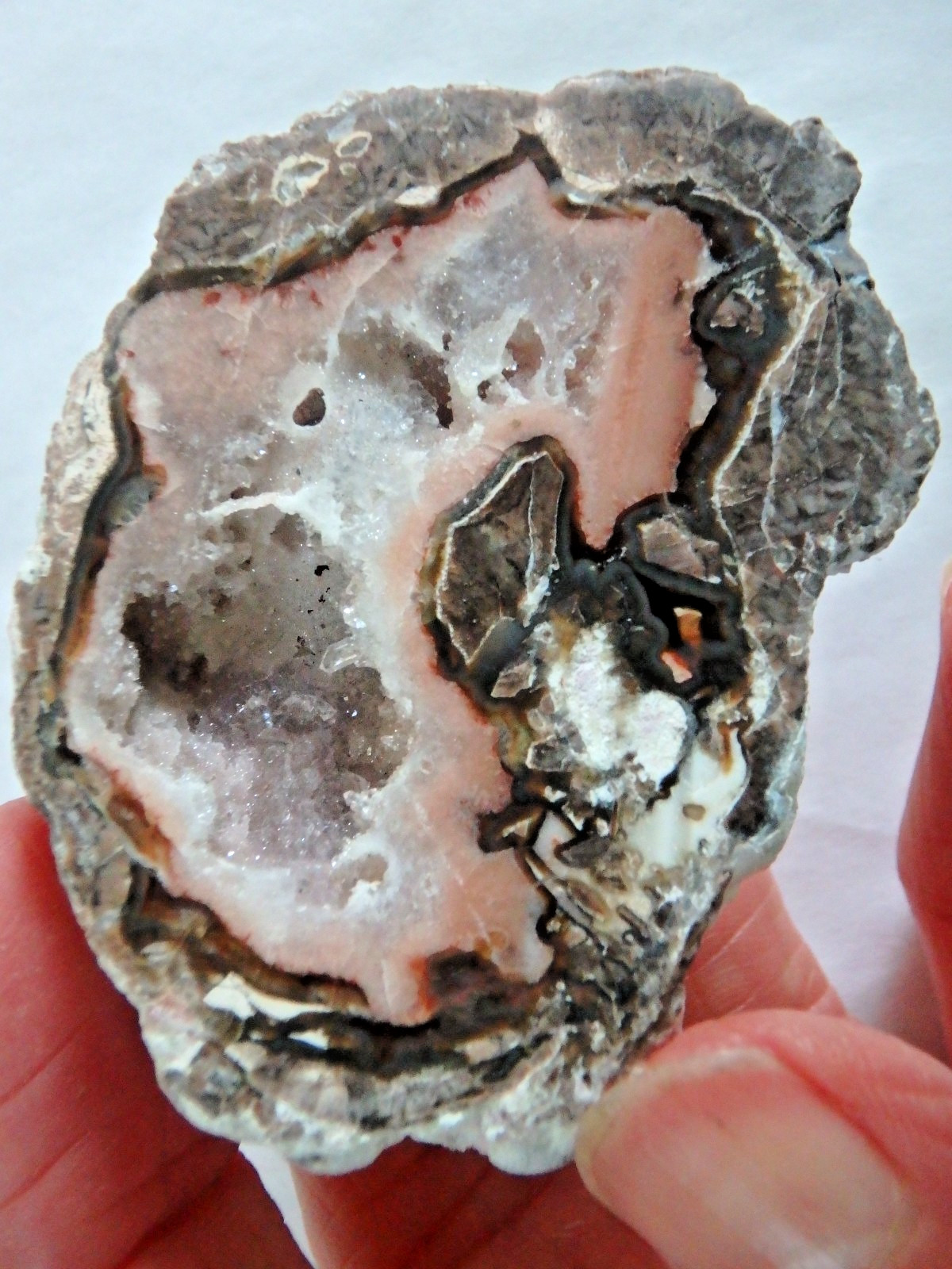 Unusual Baker Egg Geode Hermanus Ranch Columbus MN 65 grams half geode