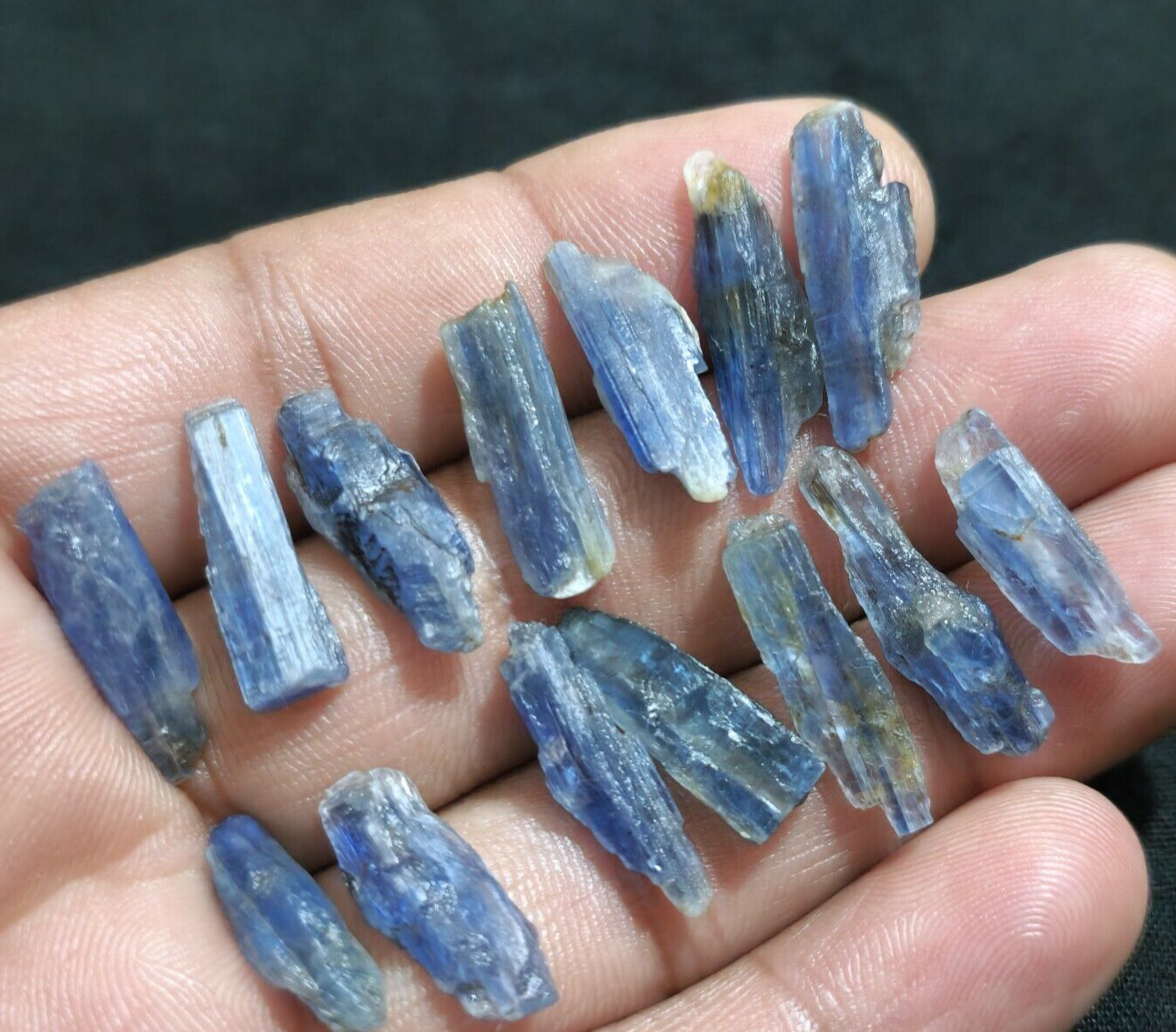 Amazing Quality Blue Kyanite Raw 14 Pcs Lot Size 18-23 MM Huge Loose Gemstone