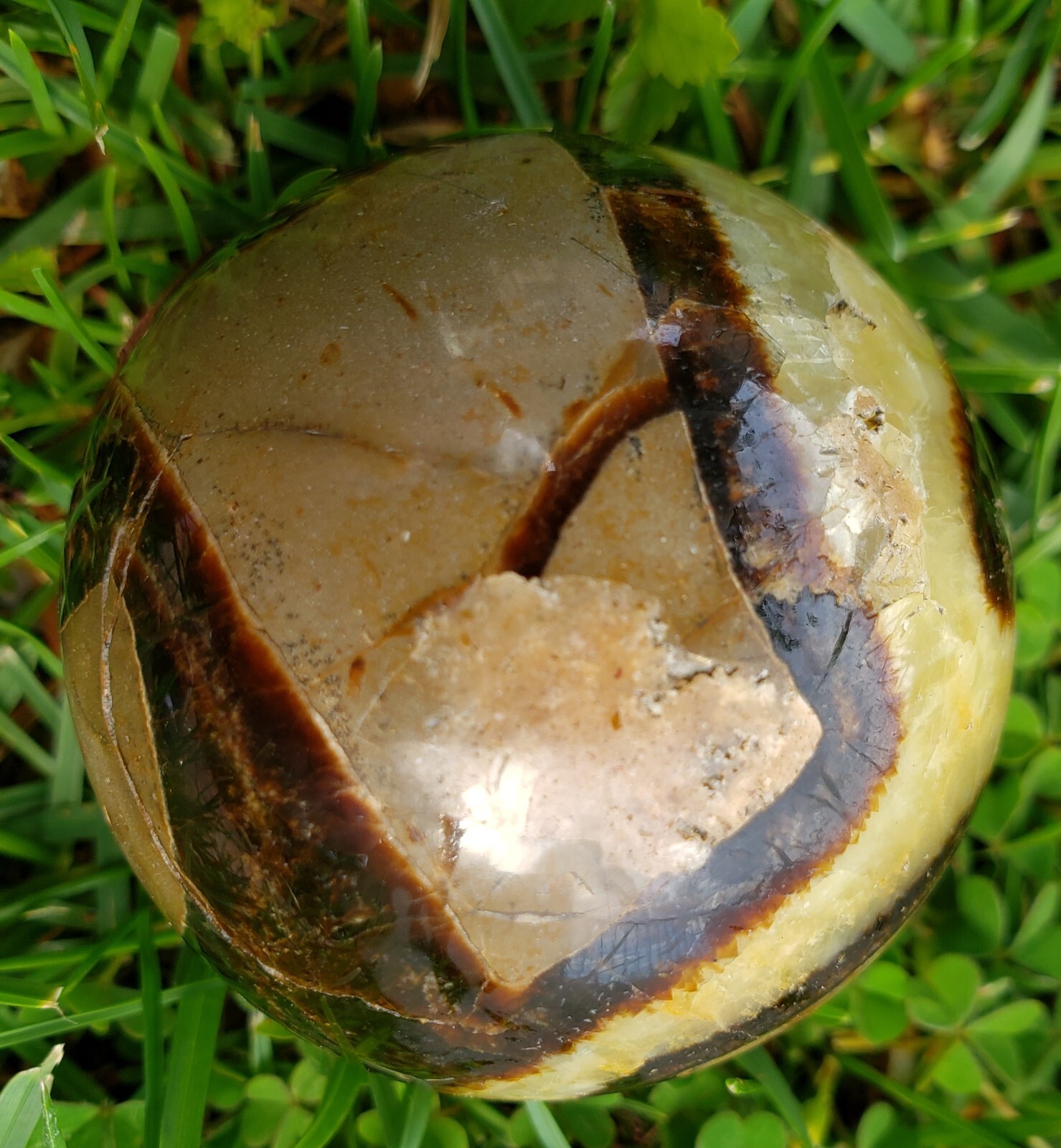 2.0″ Natural Septarium Septarian Dragon Egg Phosphorescent UV Crystal Sphere