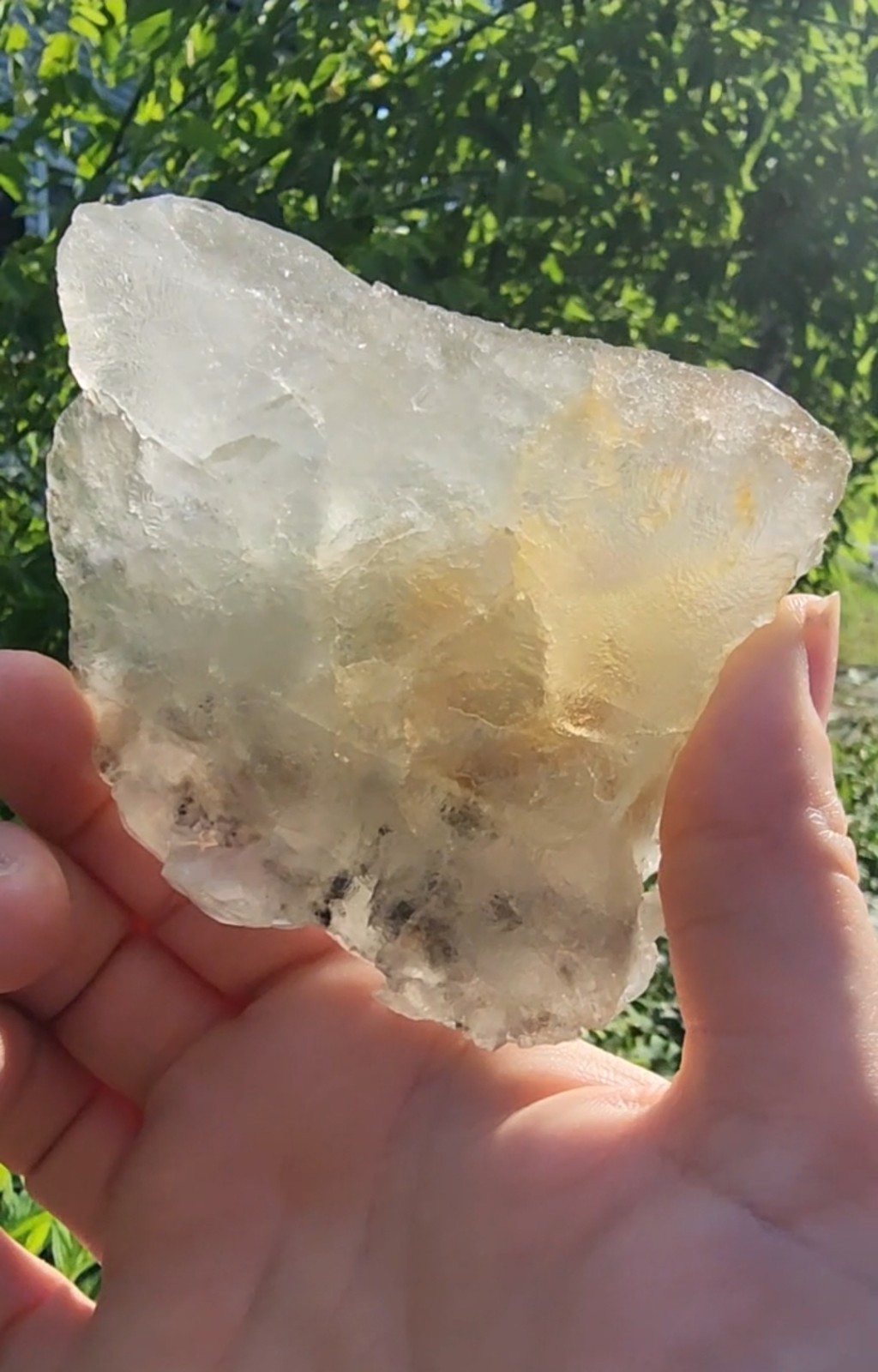 ✨️”Benz” Calcite On Fluorite With Chalcopyrite- Wenshan China✨️