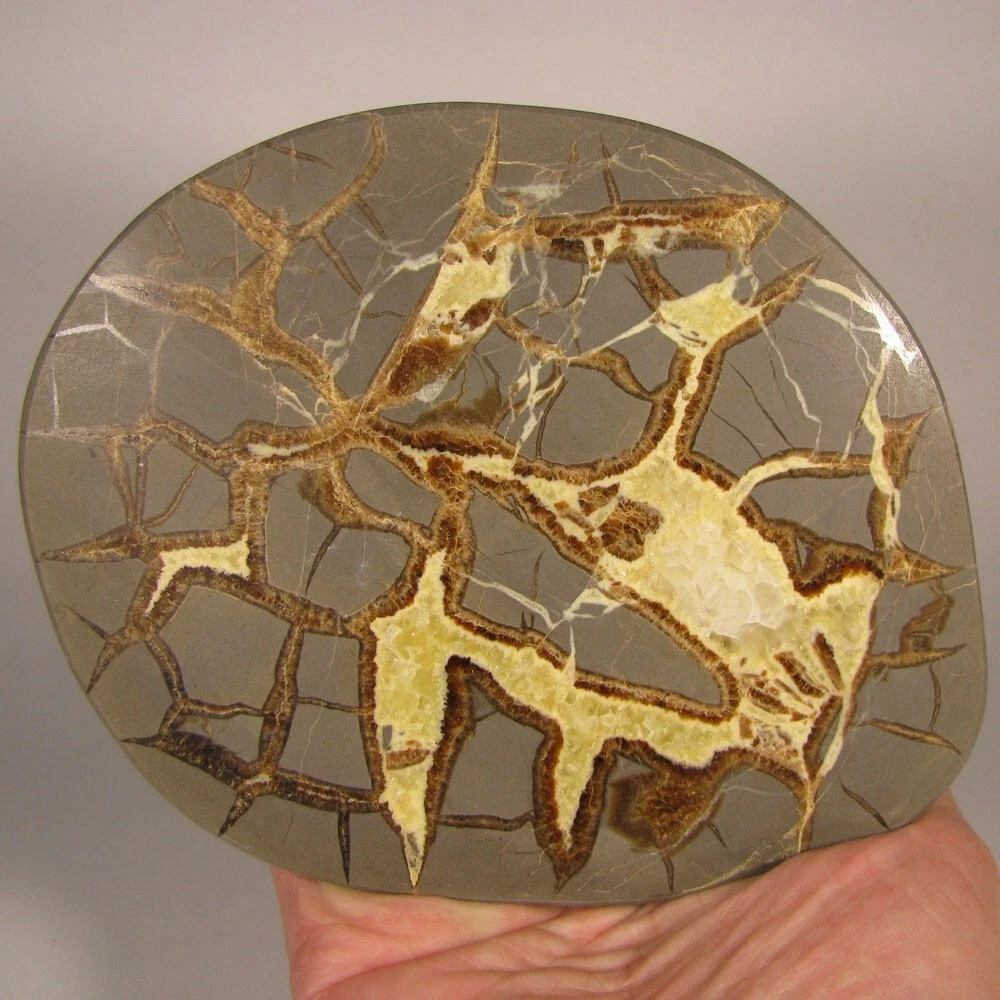 6″ Polished SEPTARIAN GEODE End Slab – Utah – 1.7 lbs.