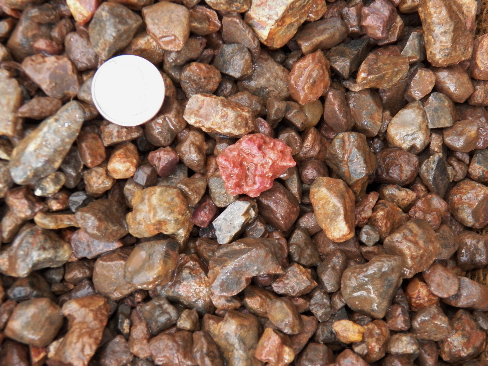 2000 Carat Lots of Ruby Rough – Plus a FREE Faceted Gemstone