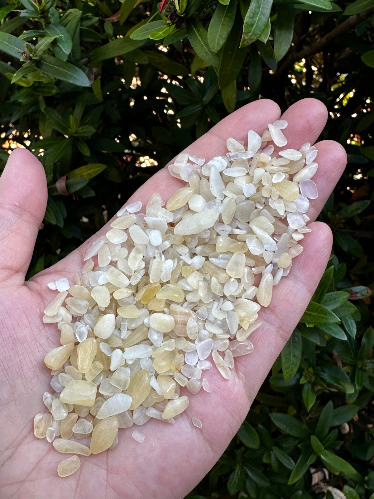Yellow Calcite Semi Tumbled Gemstone Mini Chips 3-9 mm, Wholesale Bulk Lot