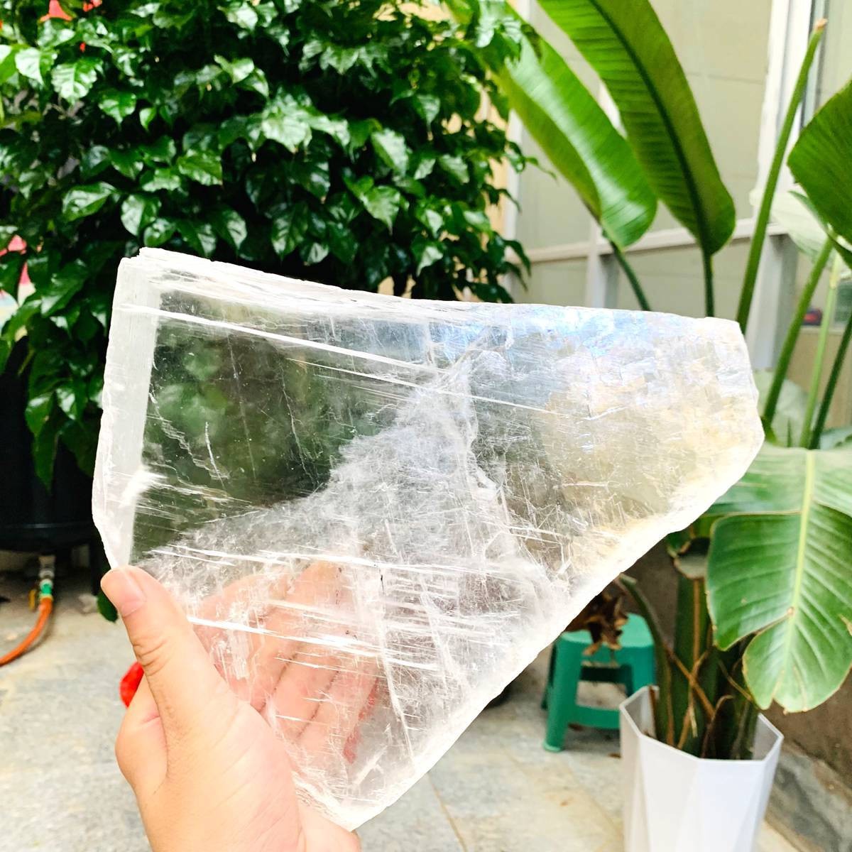 3.59LB Natural Clear Transparent Selenite Slab Gypsum Crystal Mineral Specimen