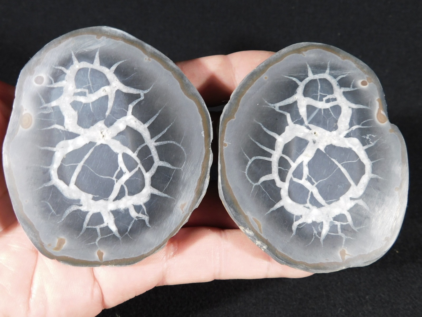 Larger! Cut and Polished SEPTARIAN Nodule 100% Natural Morocco 341gr
