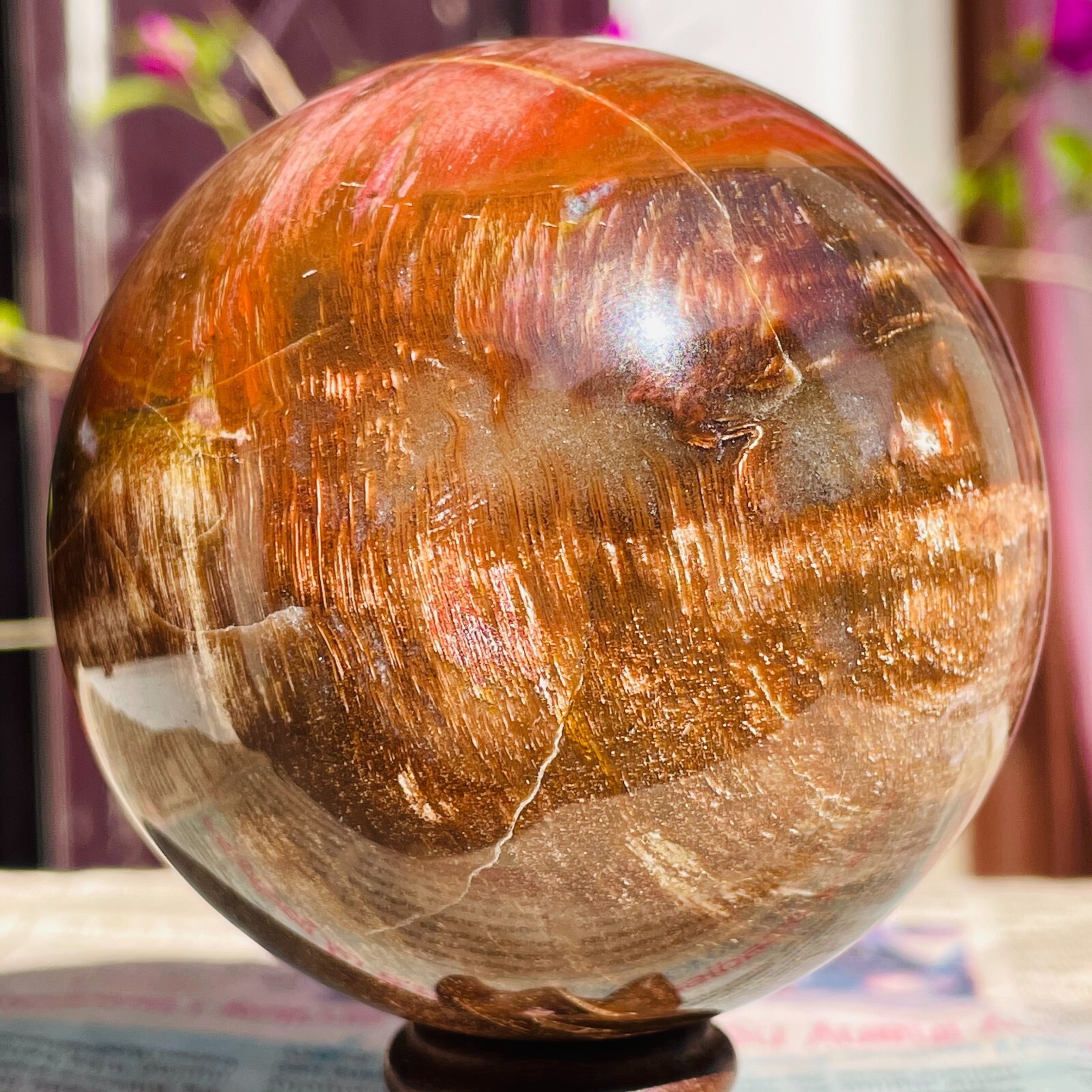640g Natural Red Petrified Wood Crystal Ball Fossil Polished Sphere Specimen