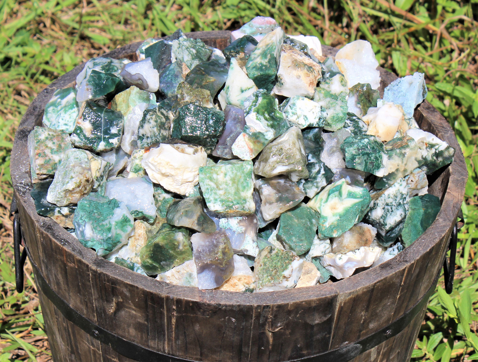 5 lb HUGE Bulk Lot Natural Rough Tree Agate (Raw Crystal Rocks 11000+ Carats)