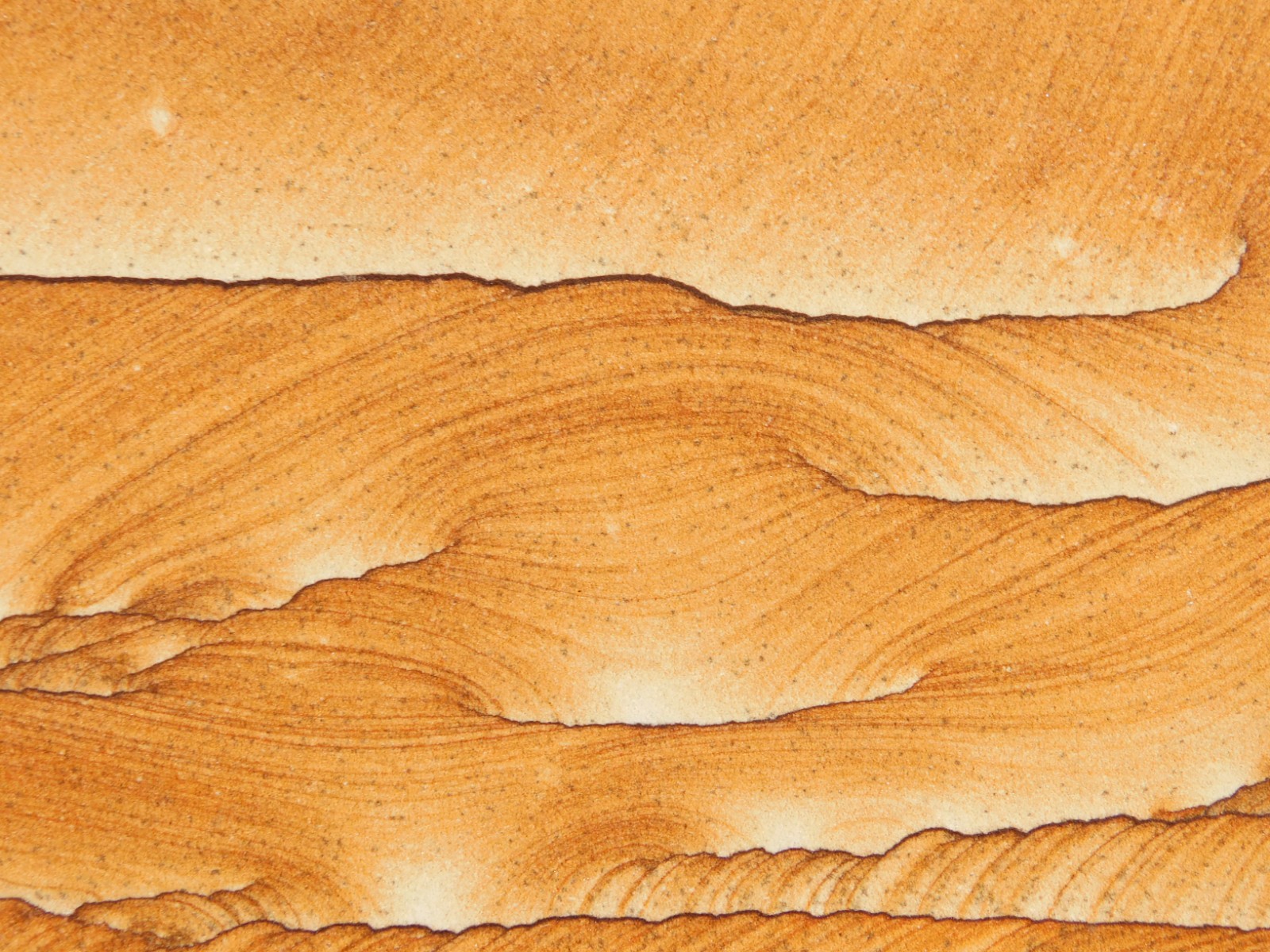 wOw! BIG PICTURE Stone or SANDSTONE Slice/Slab with Display Stand Utah 1041gr