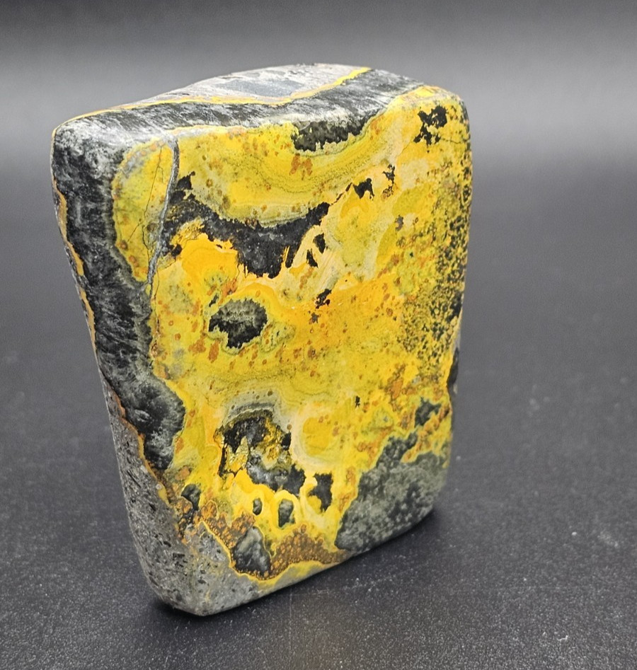 Bumblebee Jasper with Eyes Freeform Standup Display Piece Rare – US Seller R