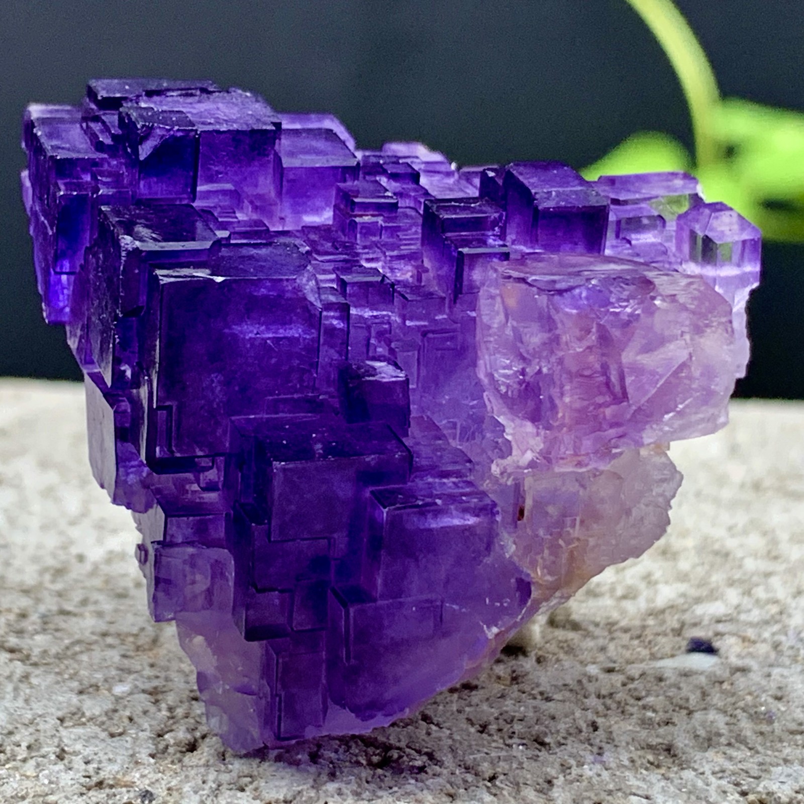 53G Natural purple fluorite Matrix array stepped fluoritemineral specimen/China