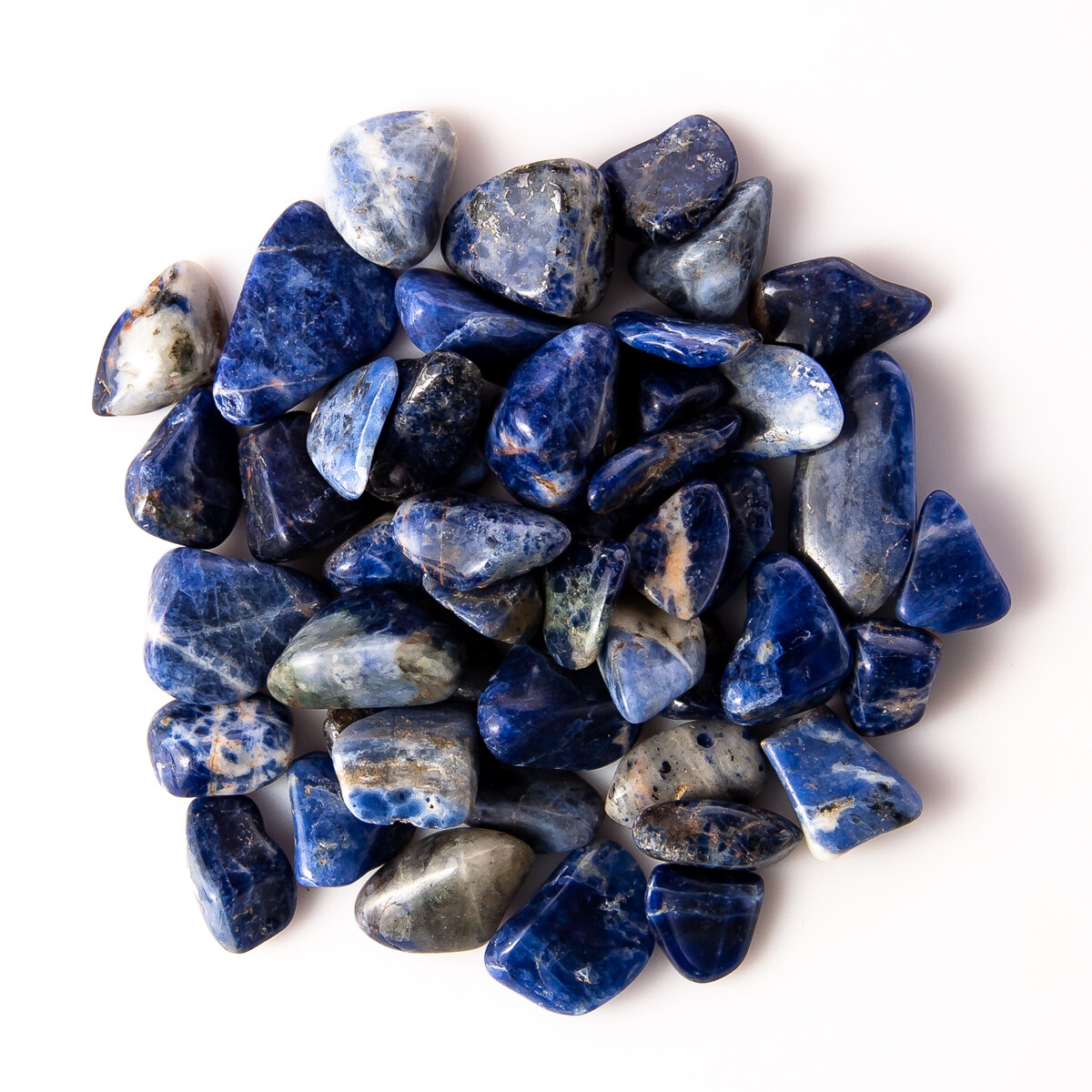 1 lb Tumbled Gemstone Collection Sodalite Picture Jasper Petrified Wood Bulk Gem