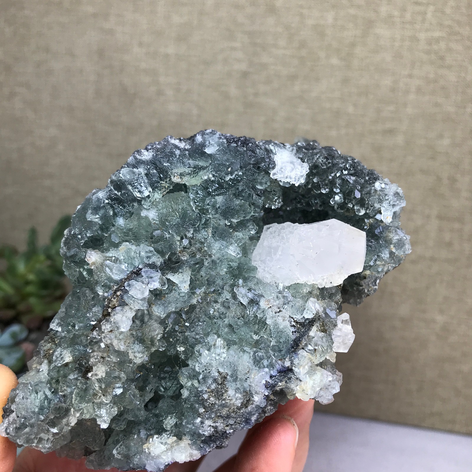 476g NATURAL Green Cubic FLUORITE paragenesis Crystal Cluster Specimen A4780