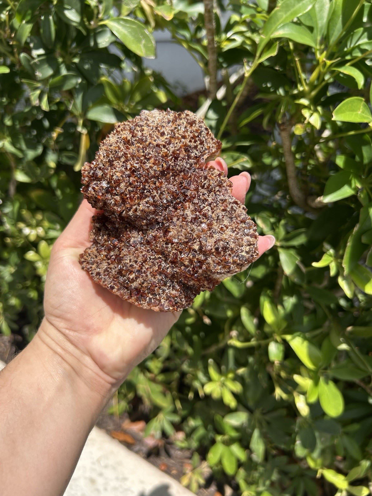 Natural Citrine Crystal Cluster – Sparkling Druzy Honey Quartz Specimen