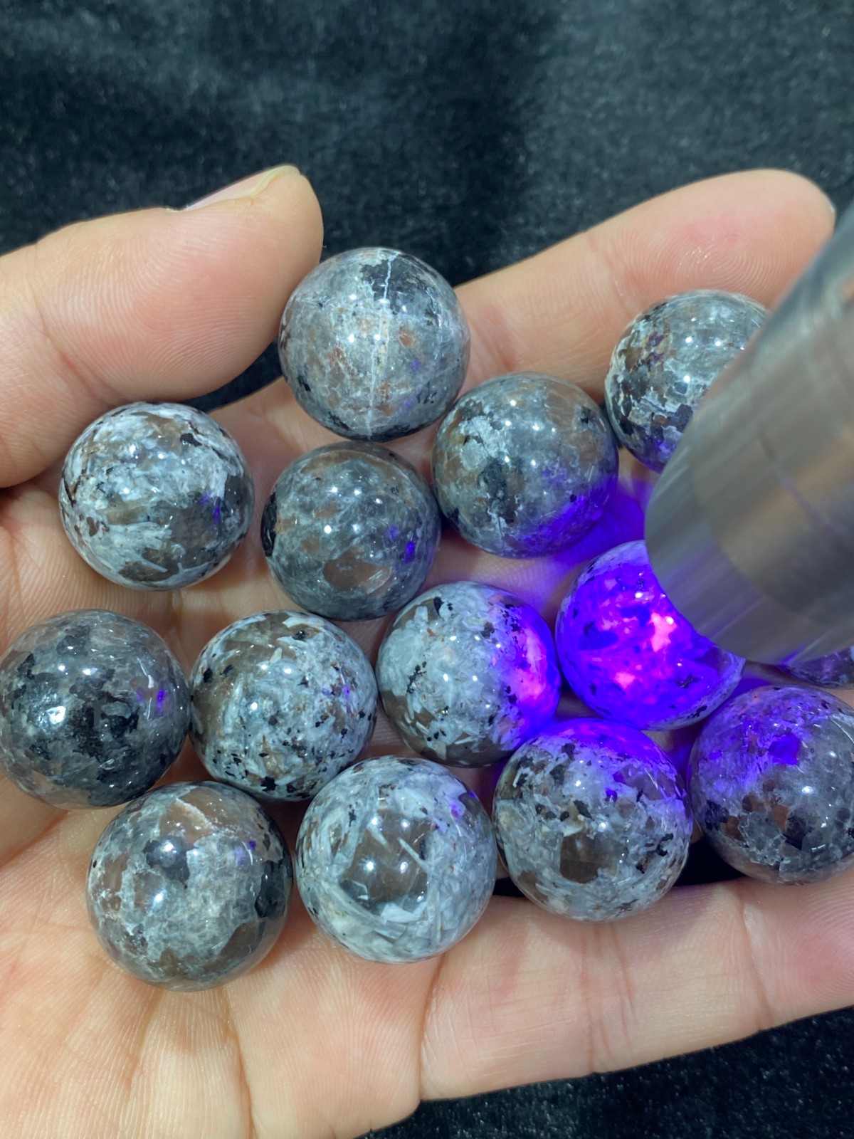 5pc Natural Yooperlite Sphere Quartz Crystal Carved ball reiki healing gift 20mm