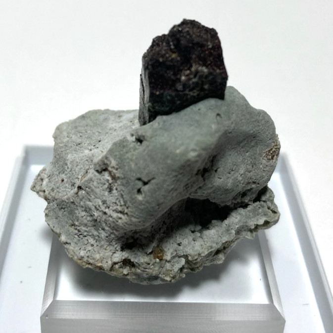 Stunning Neptunite 40mm crystal on Crossite matrix. San Benito California