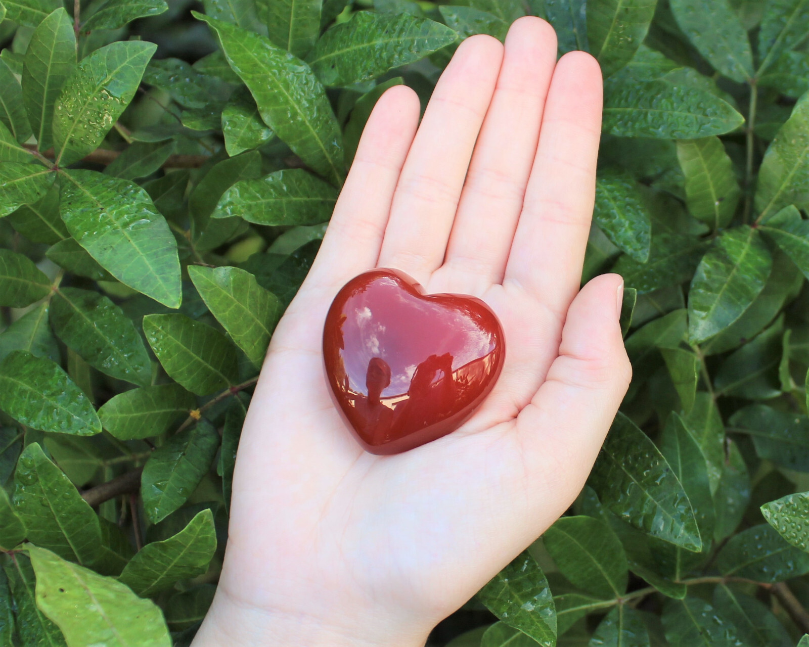 Carnelian Heart Stone: LARGE 1.5 – 1.75″ (Crystal Gemstone Heart, Palm Stone)
