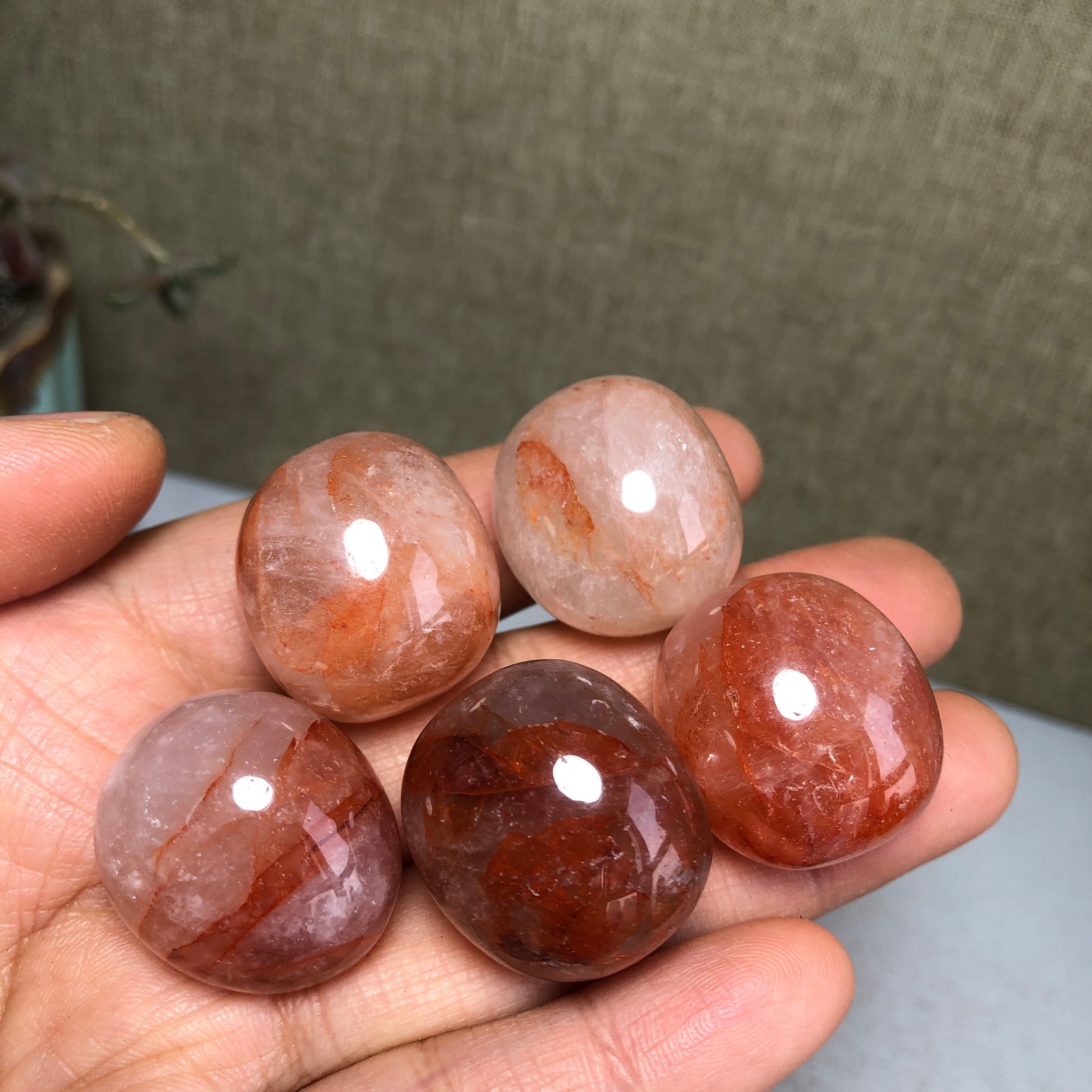 5pcs Natural Red gum flower semi-precious Crystal specimens 90g A3577