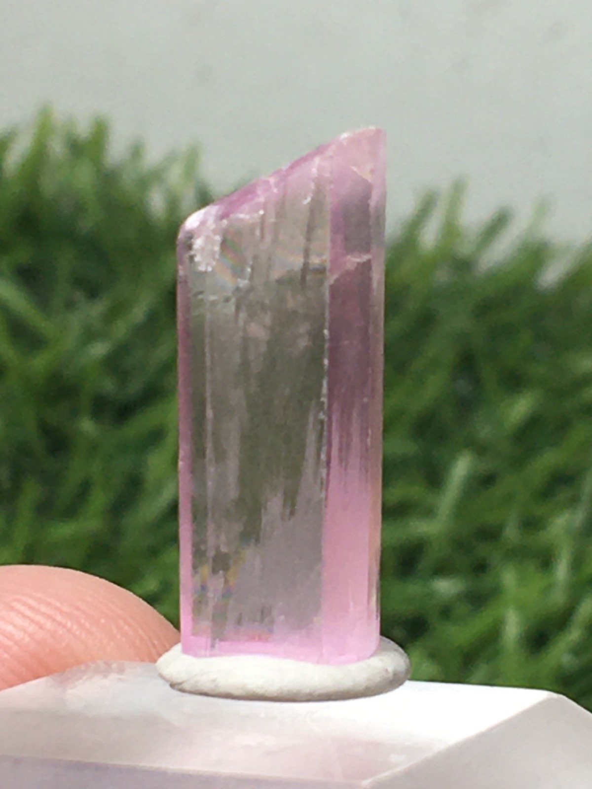 9.80 Carats AMAZING NATURAL POLISHED KUNZITE CRYSTAL FROM AFGHANISTAN (77zb)