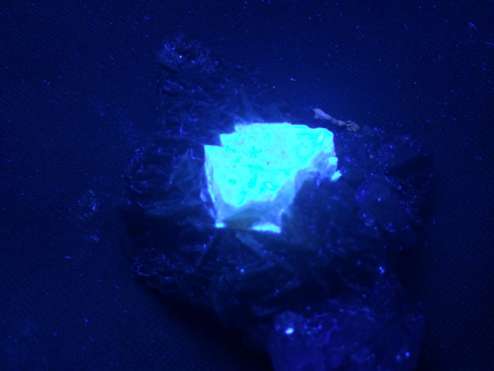 KB: SW FL BRIGHT BLUE/WHITE XL OF SCHEELITE IN MATRIX, XUEBAODING MINE, CHINA