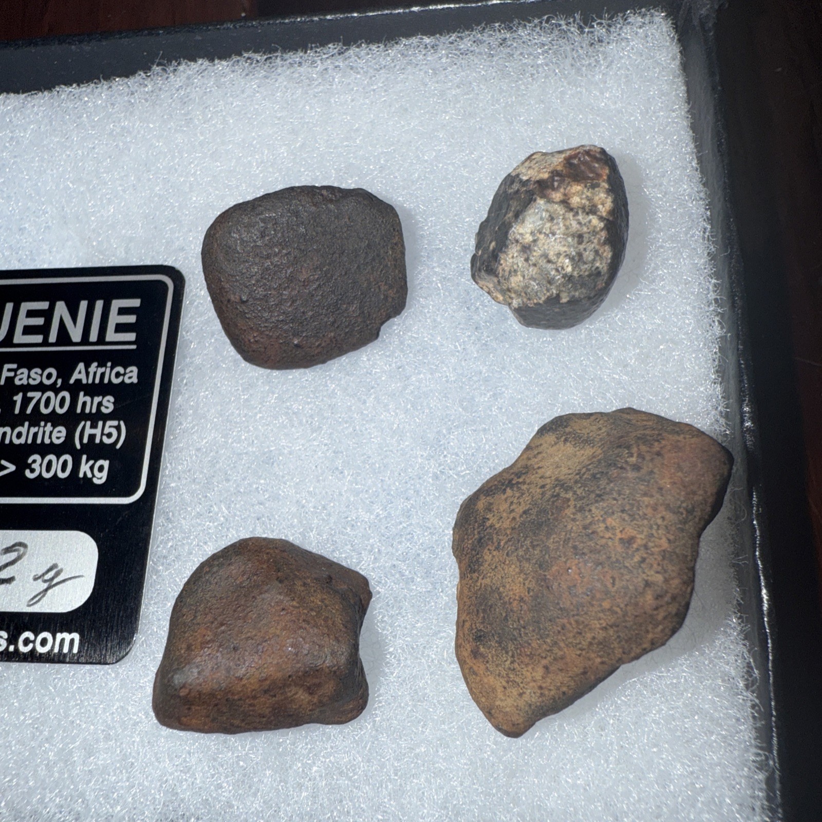 Four Uniques Meteorites Africa / Great for resale or gifts