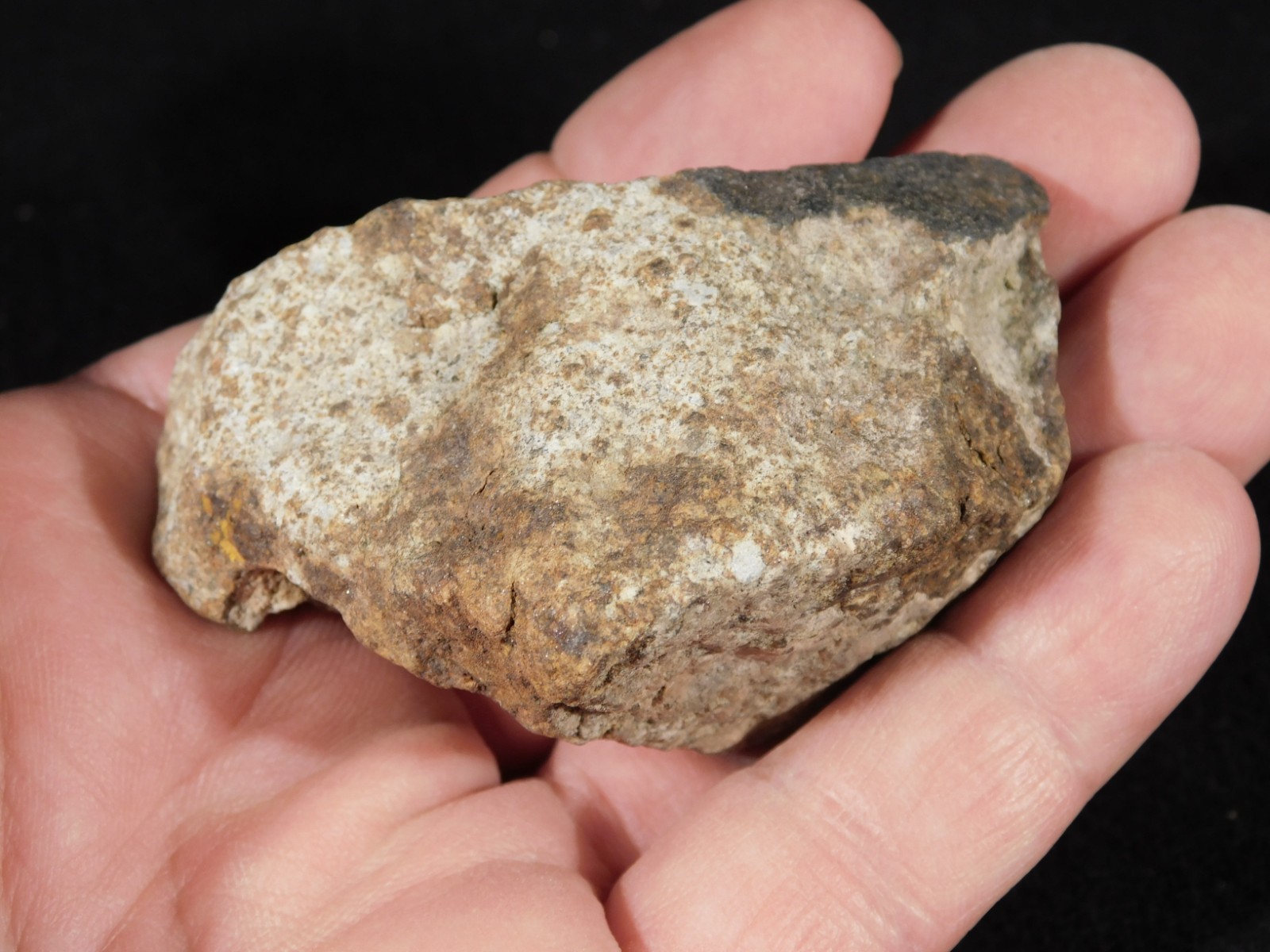 Classified NWA 8245 METEORITE 100% Natural Erfoud, Morocco 147gr