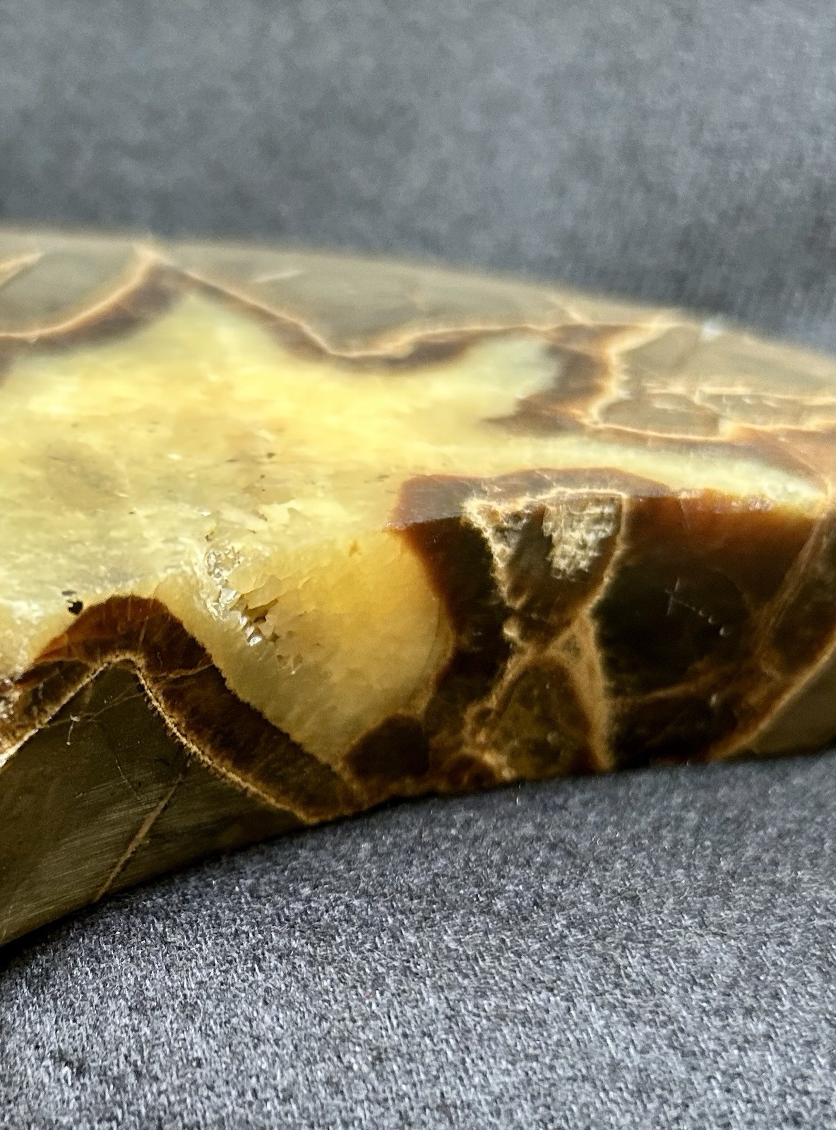 Large Septarian Nodule Utah Specimen Dragon Stone Nice Obvious Calcite Presence
