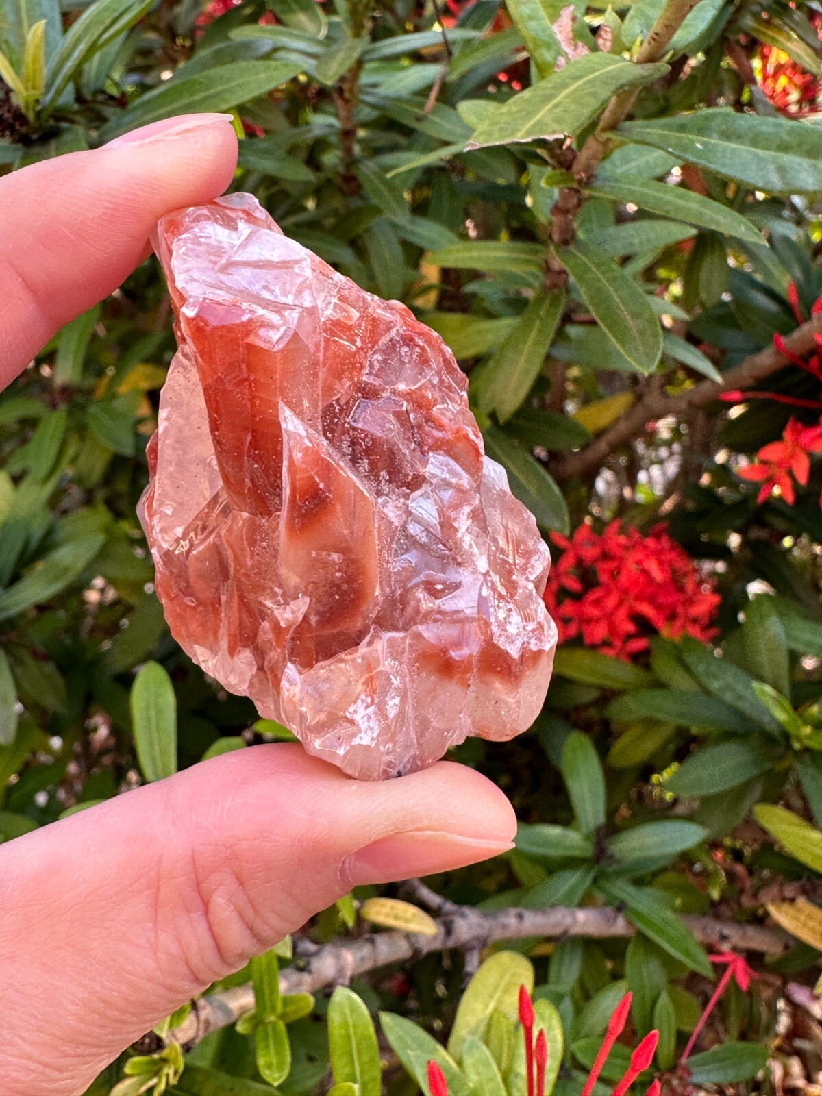 Grade A++ Red/Brown Calcite Rough Natural Stones, 1.5-2.5″ Raw Calcite Red/Brown