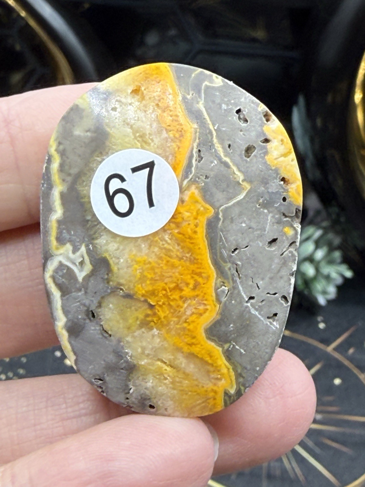 Natural Bumblebee Jasper Palms Druze vugs raw Free shipping