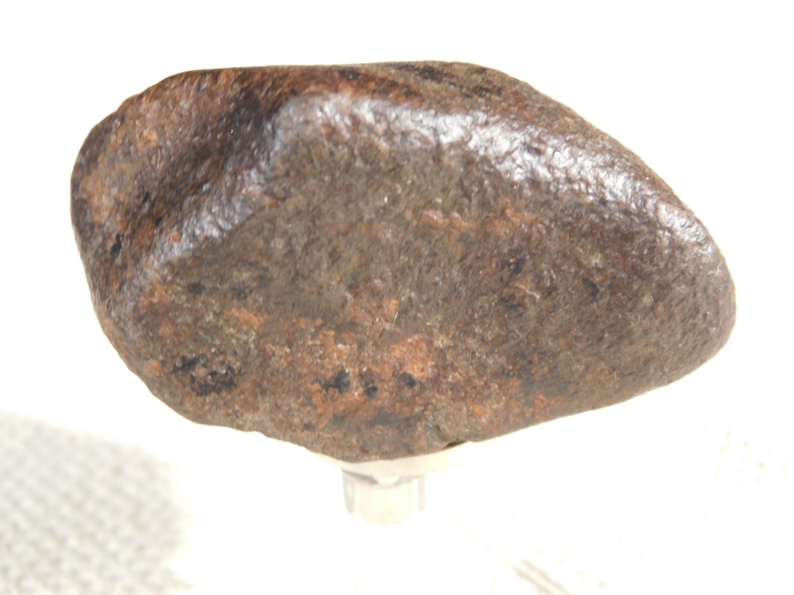Nice! and 100% Natural Stony METEORITE FELL in Libya 181gr
