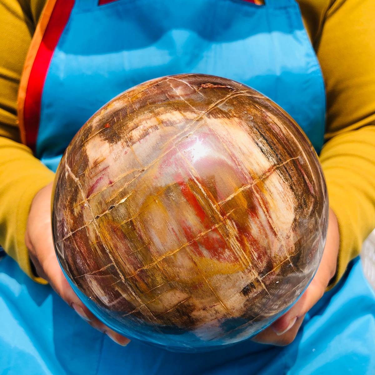 7.72LB Rare Natural Petrified Wood Ball Crystal Quartz Mineral Healing 4709
