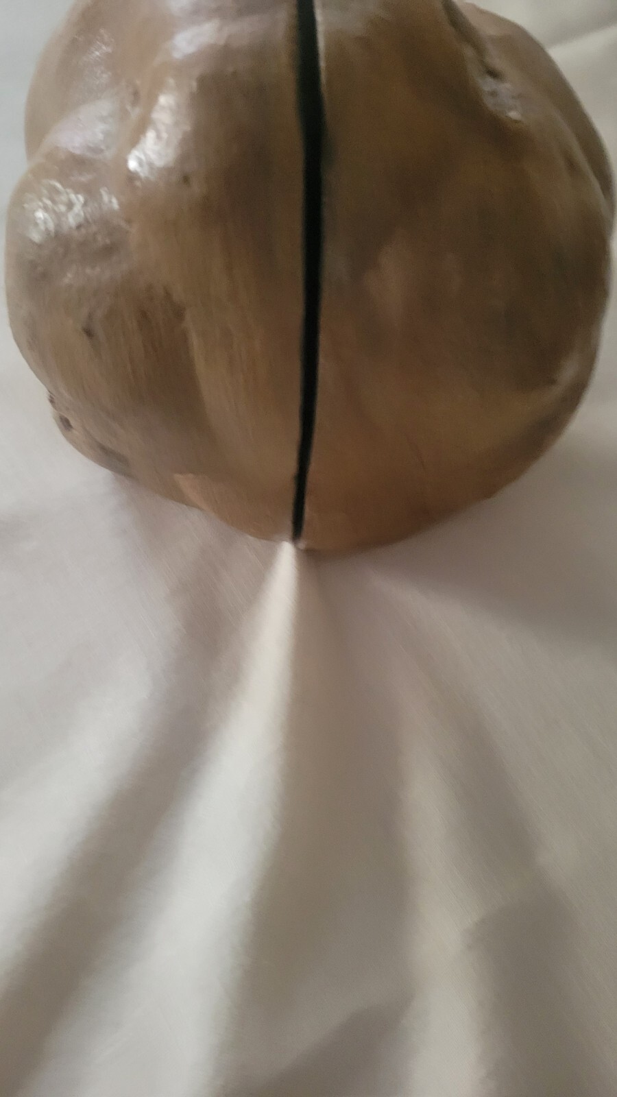Septarian nodule LARGE Extra Fine MATCHED CUT.