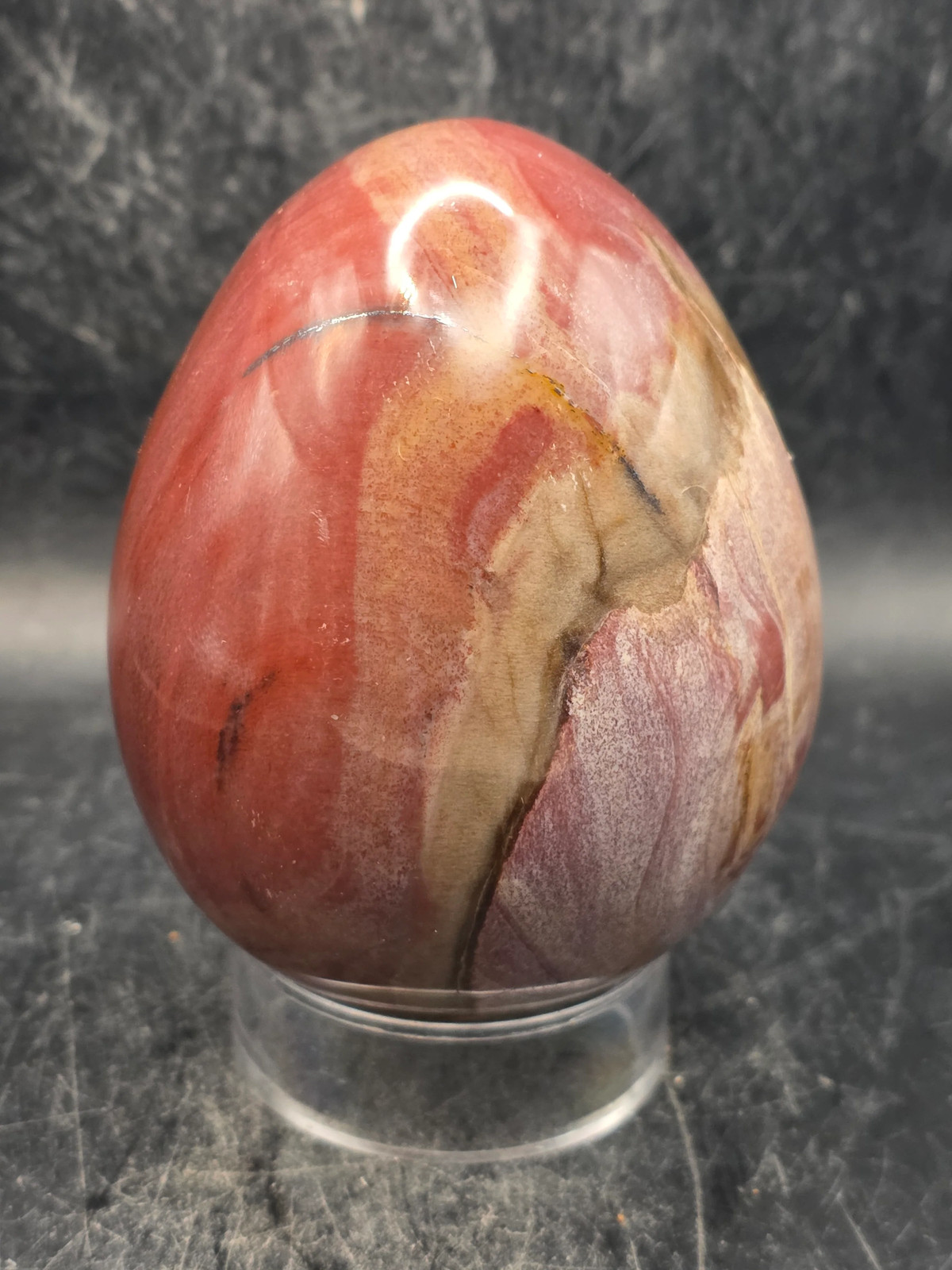 Petrified wood egg! 1.2 pounds, 3.3 inches tall, 2.6 inches wide