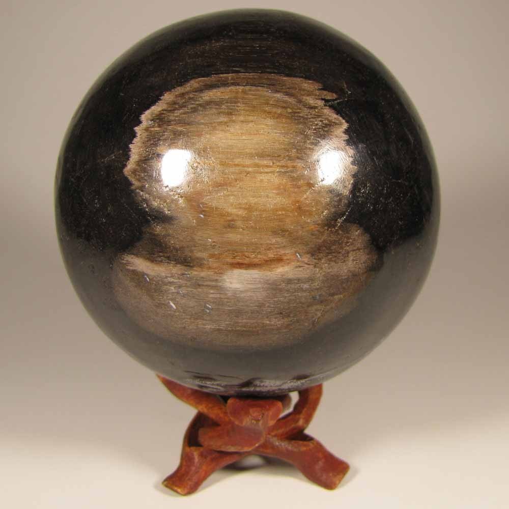 3.4″ PETRIFIED WOOD Sphere Ball w/ Stand – Indonesia – 87mm – 1.9 lbs.