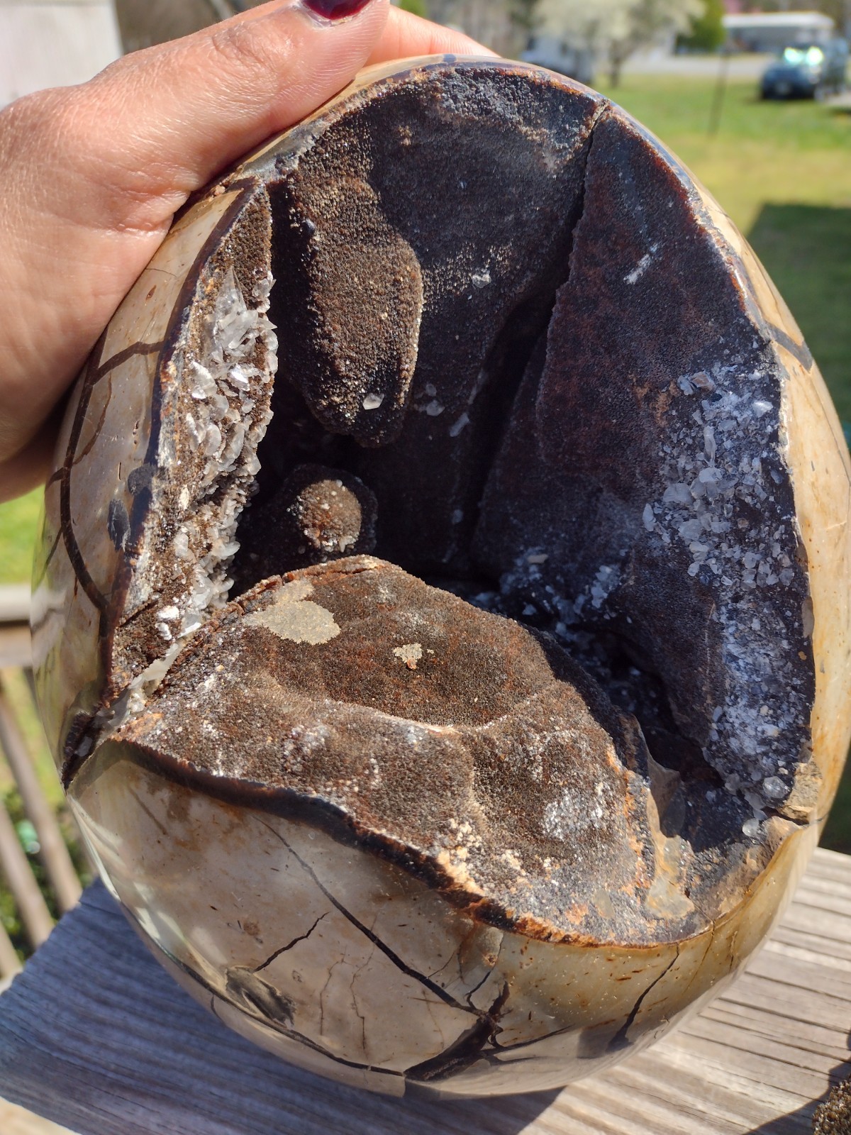Huge Septarian Dragon Egg Over 15lbs Carving Crystal Stone Polished