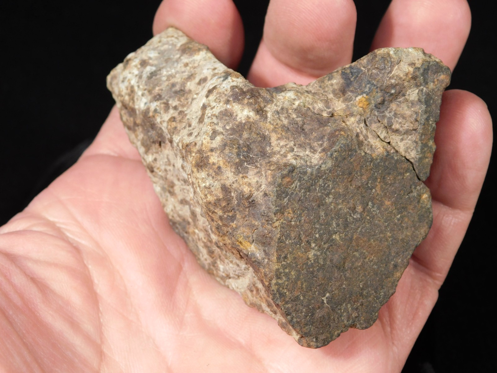 Larger! Classified NWA 8245 METEORITE 100% Natural! Erfoud, Morocco 223gr