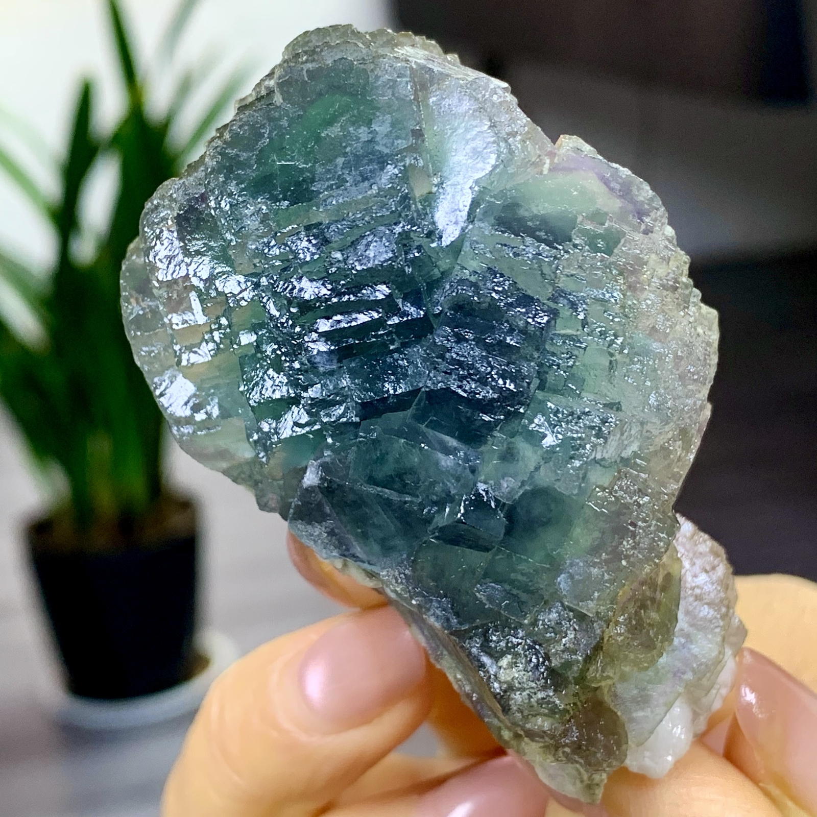197G Rare transparent blue green cubic fluorite mineral crystal sample